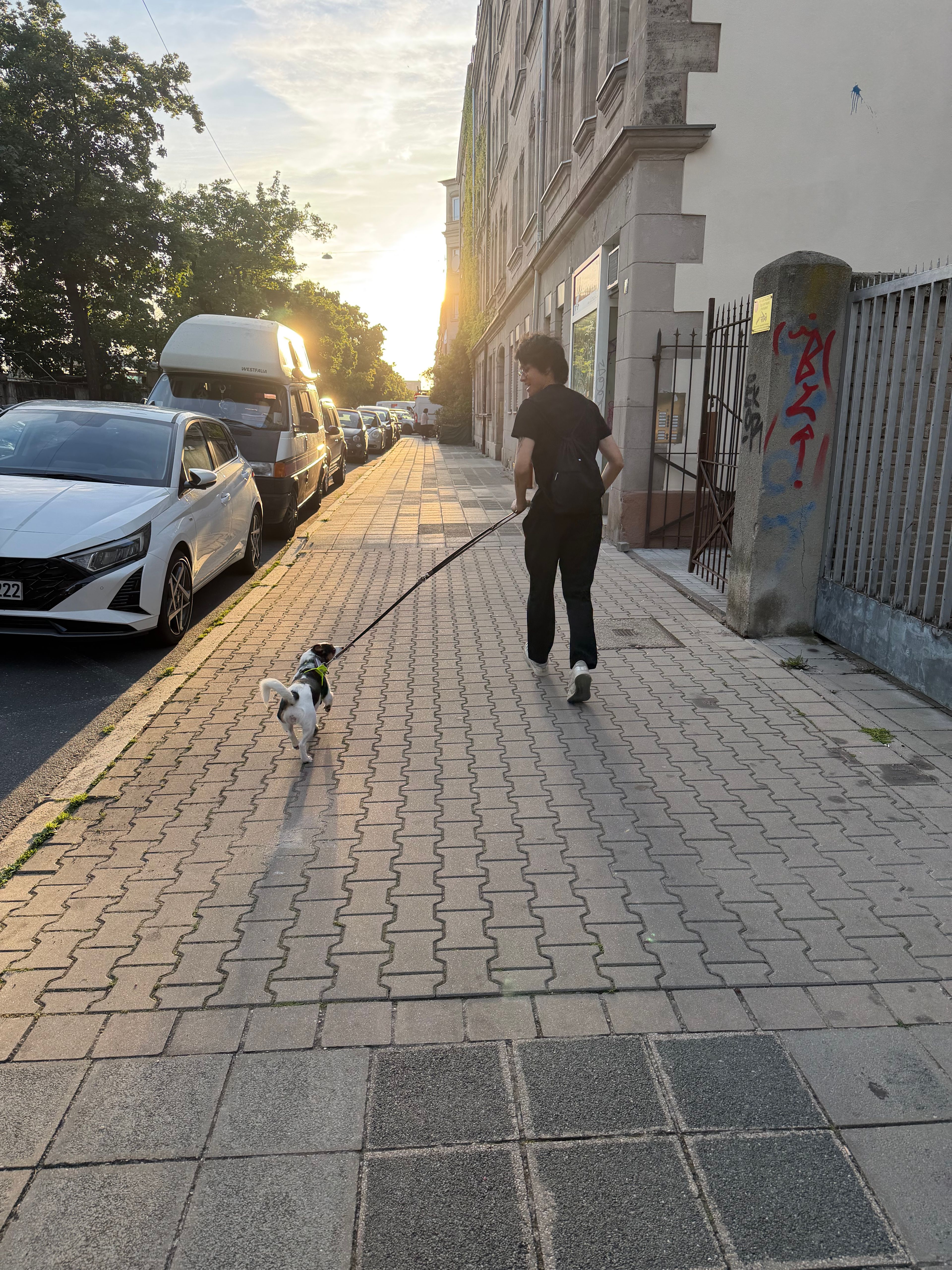 image-17
