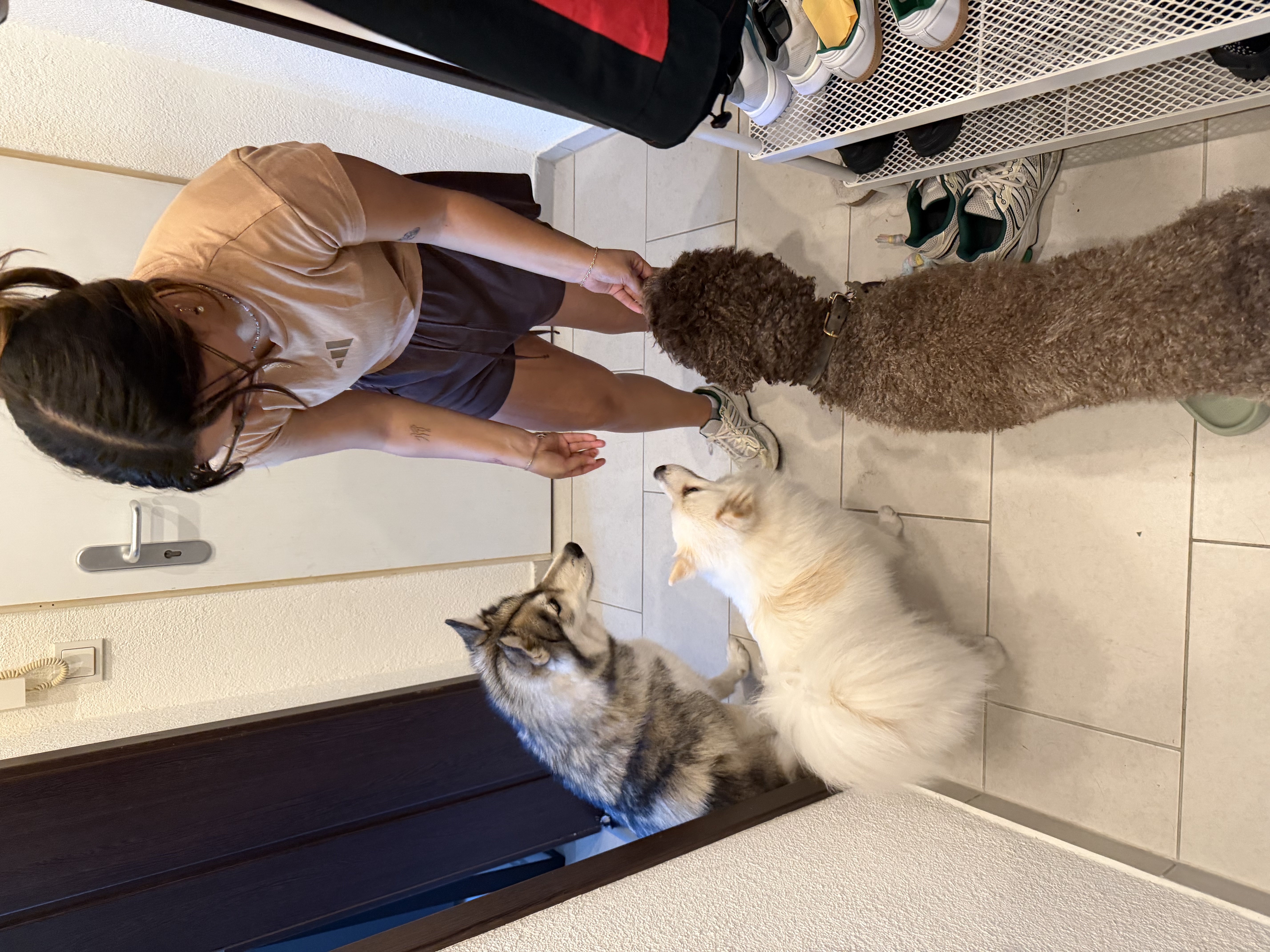image-16
