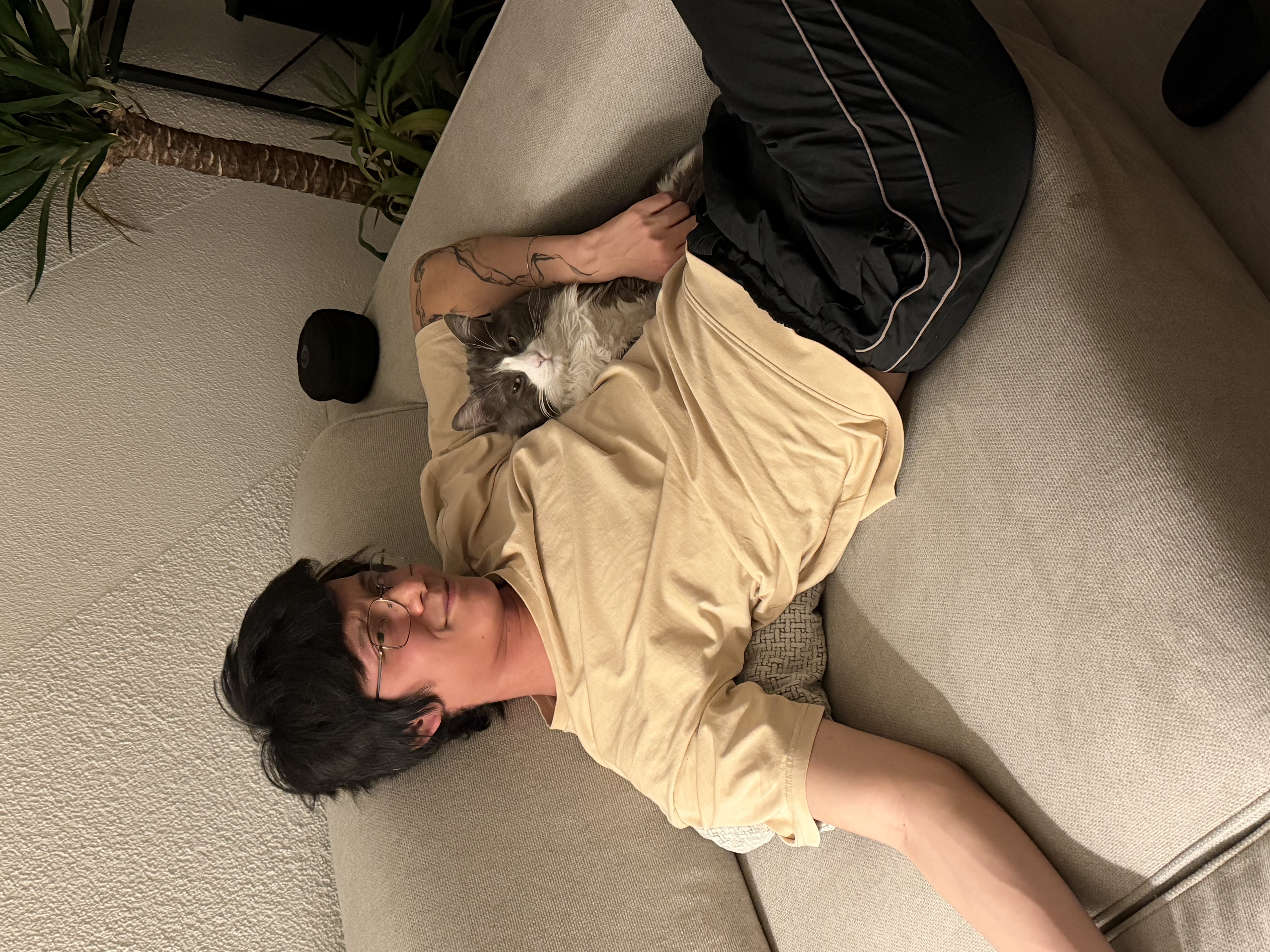 image-13