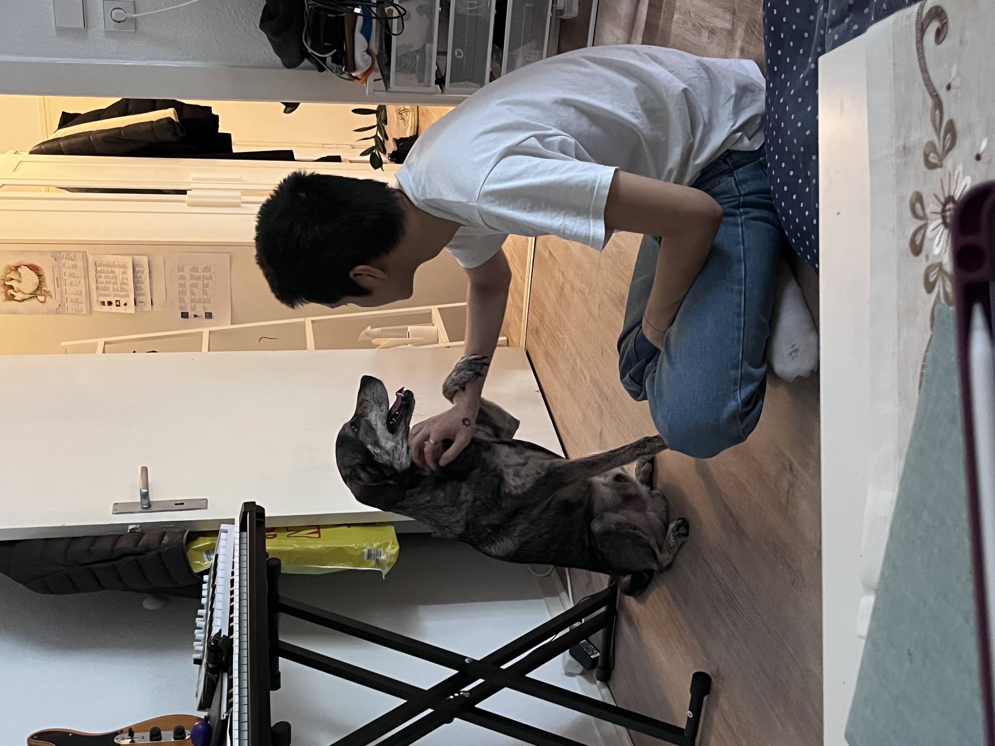 image-13