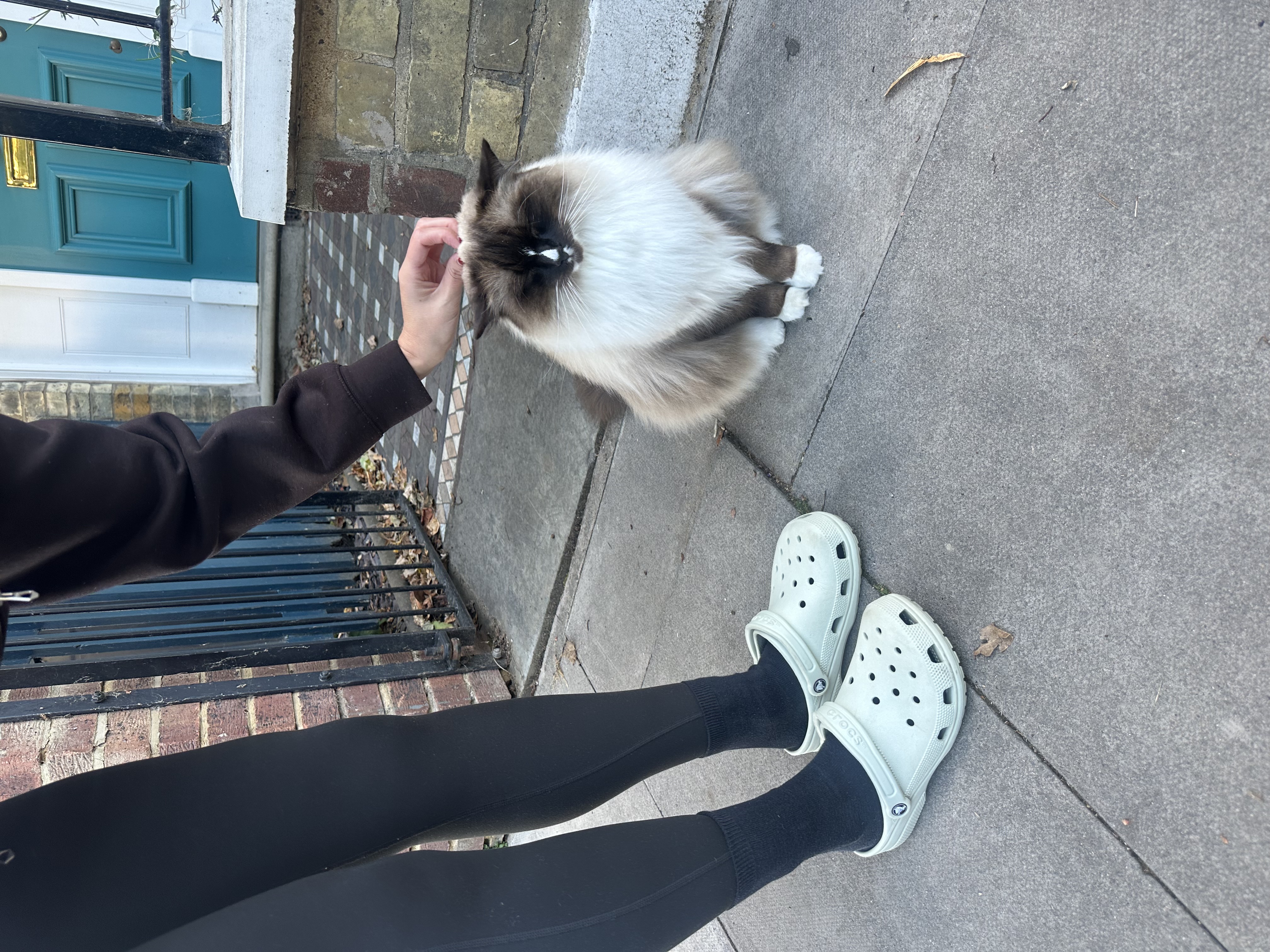 image-14