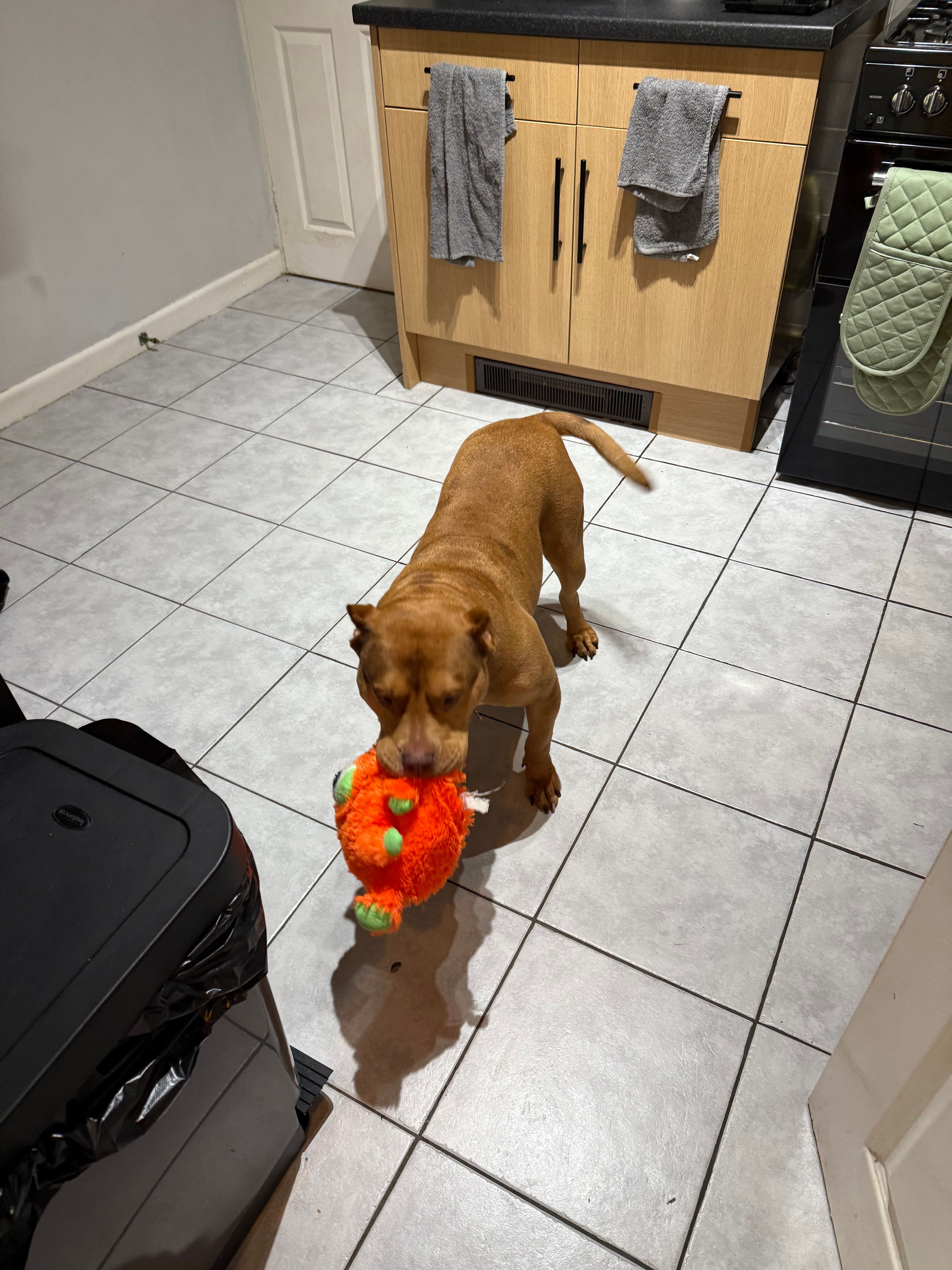 image-21