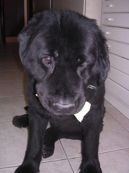 image-21