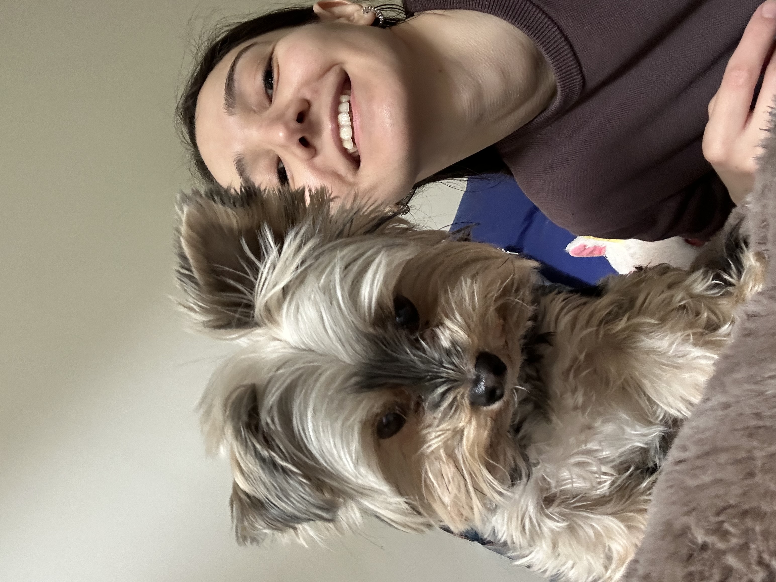 image-8