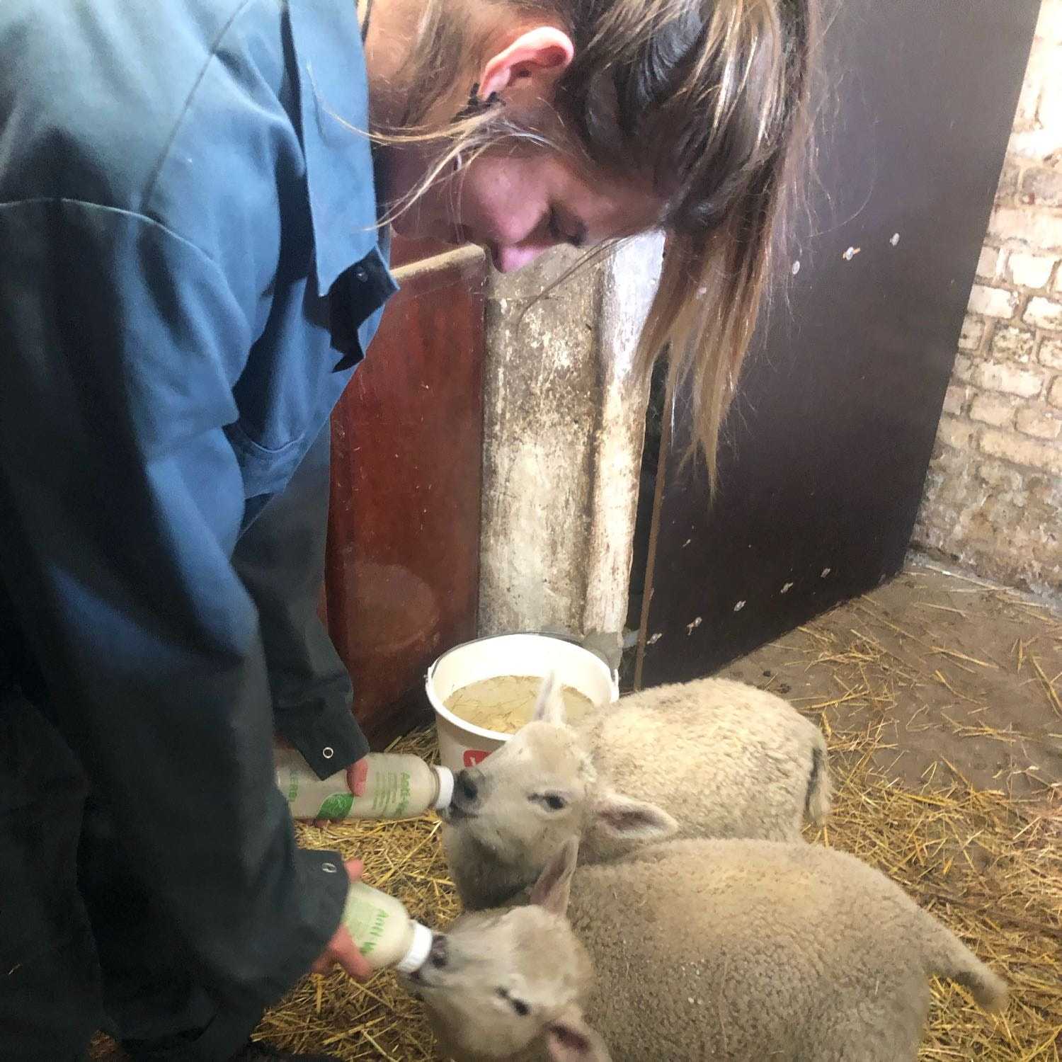 Po, Rosie and Marcel