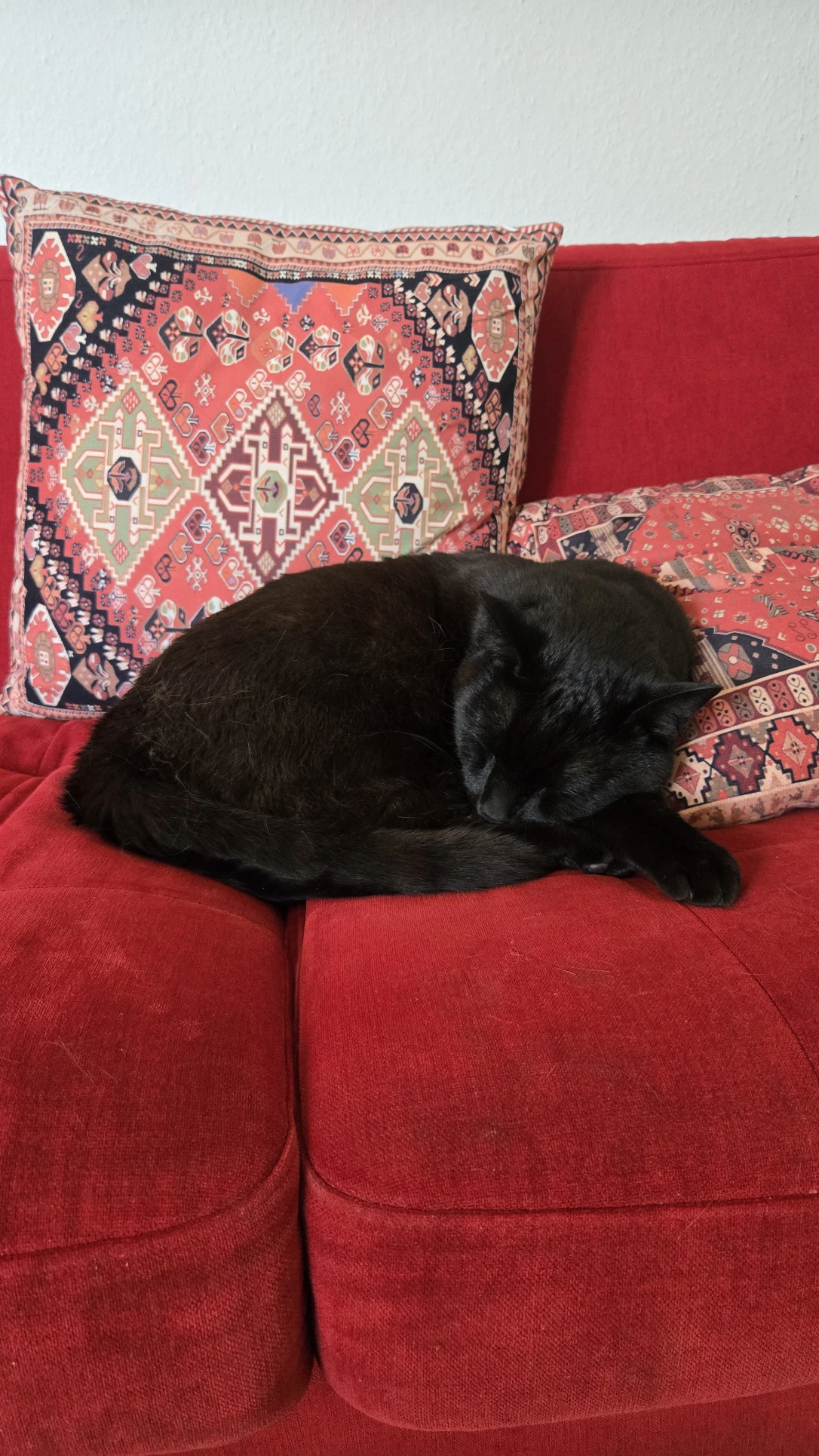 image-11