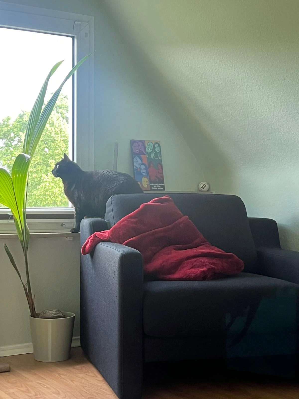 image-14