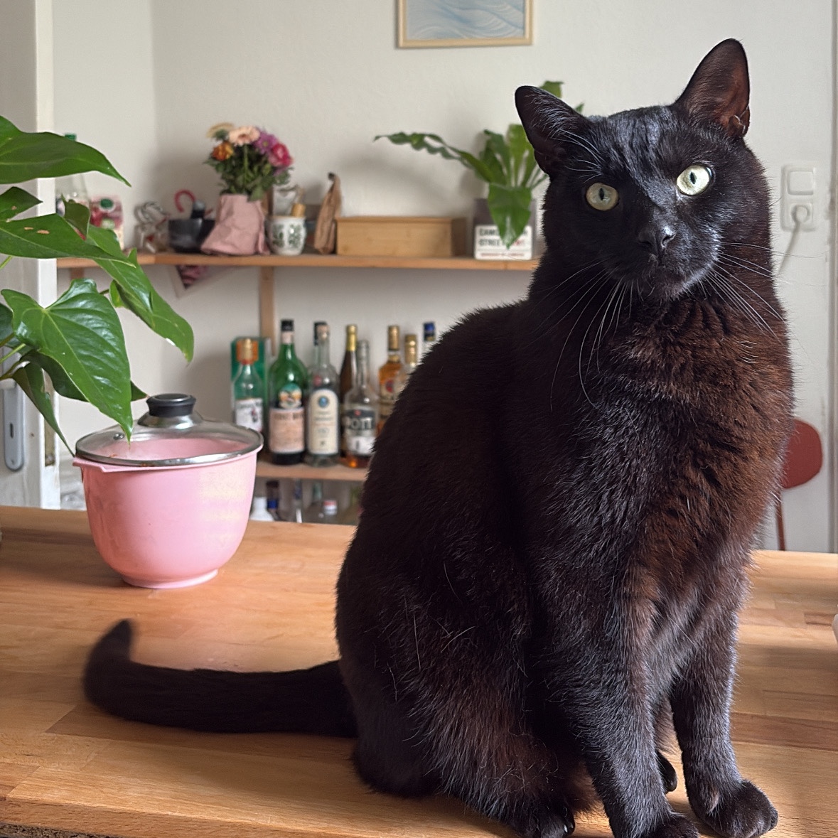 Balthazar