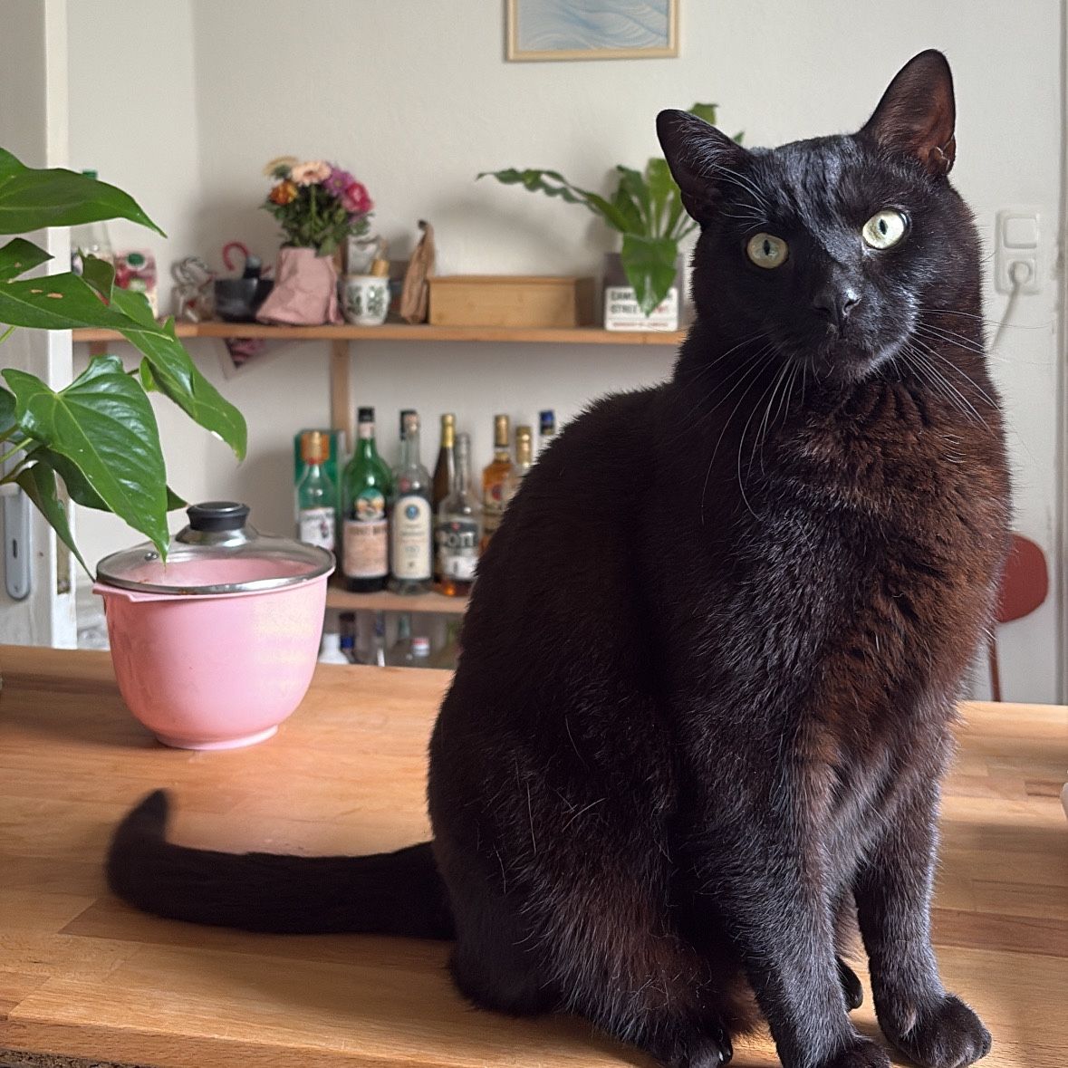 Balthazar