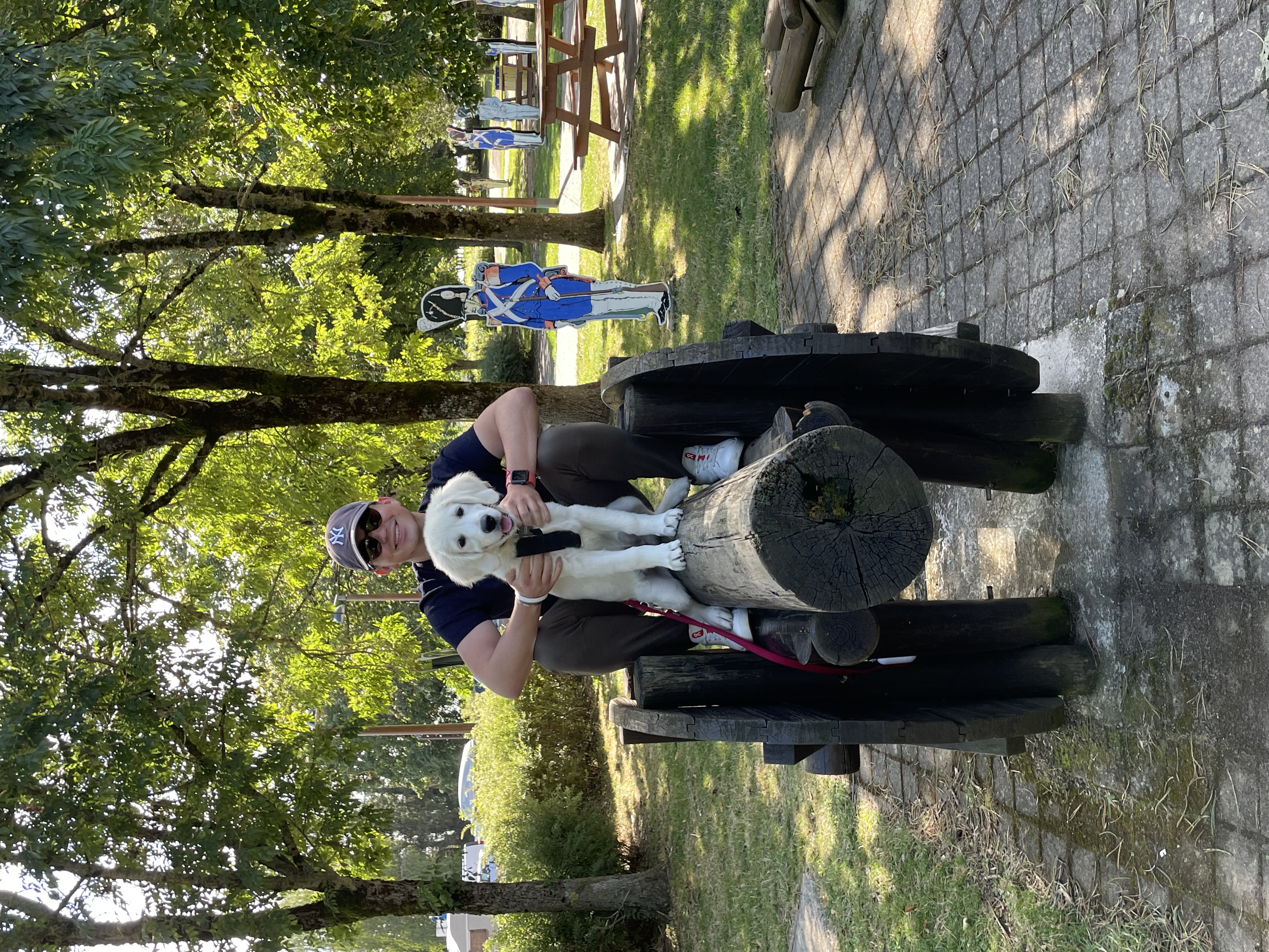 image-7