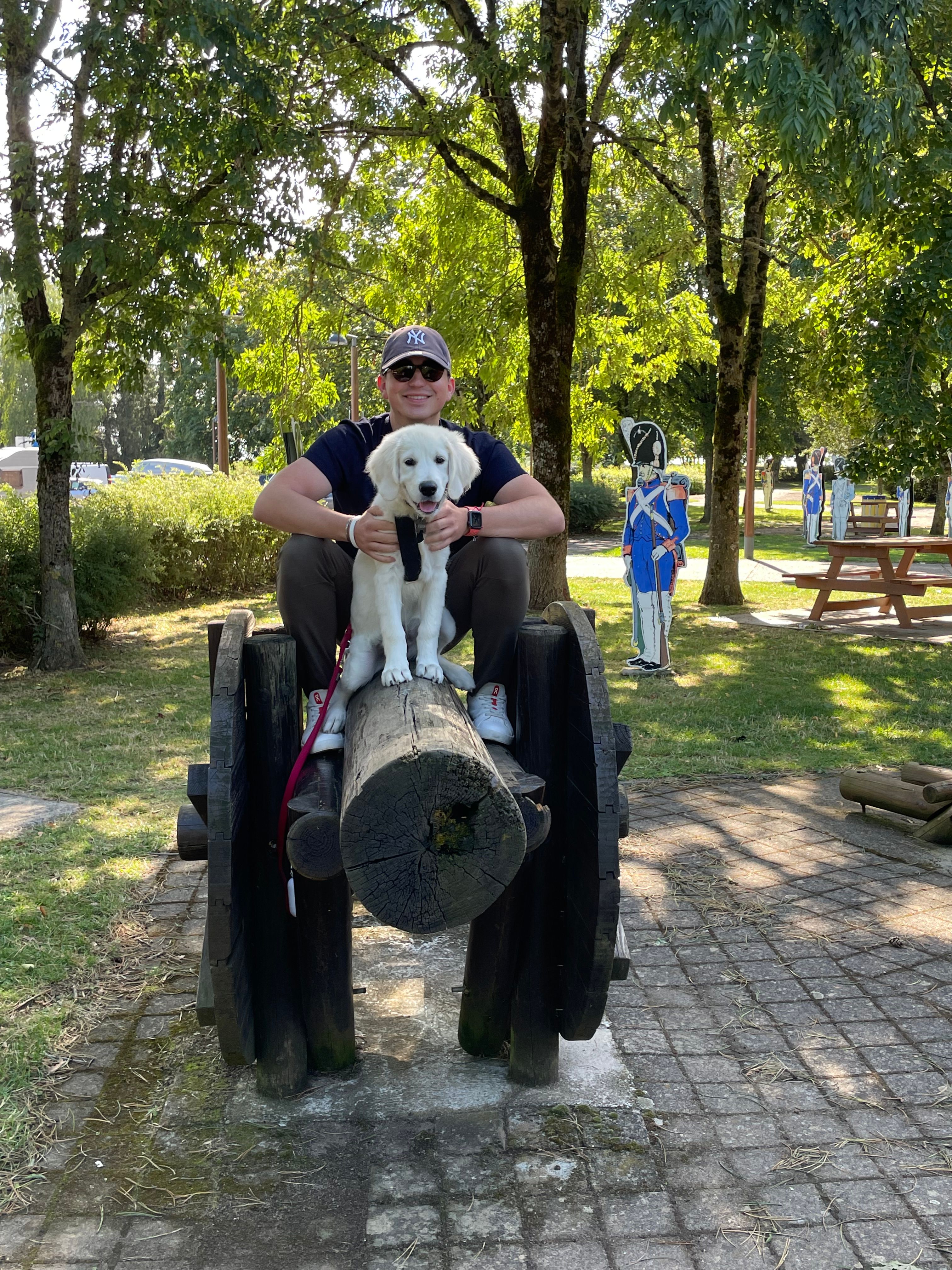 image-7