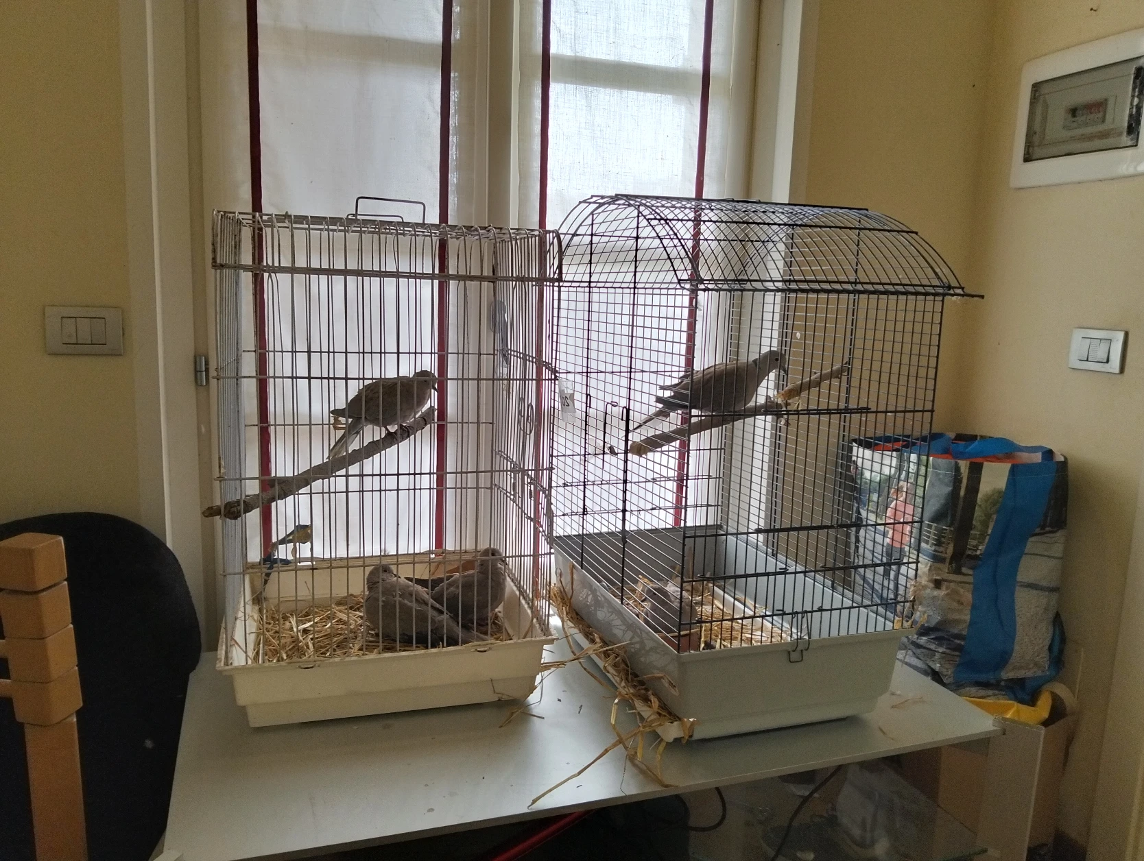 image-10