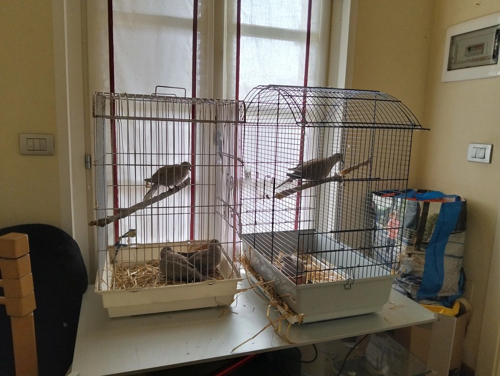 image-10