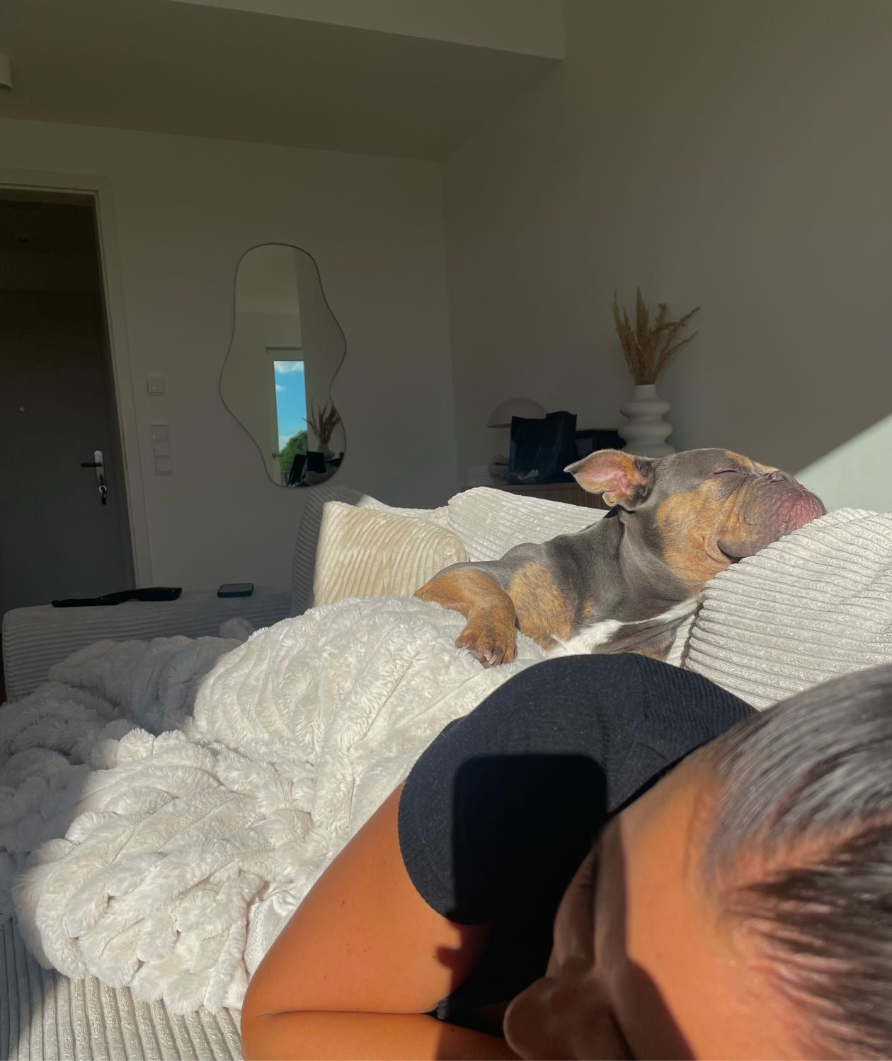 image-12
