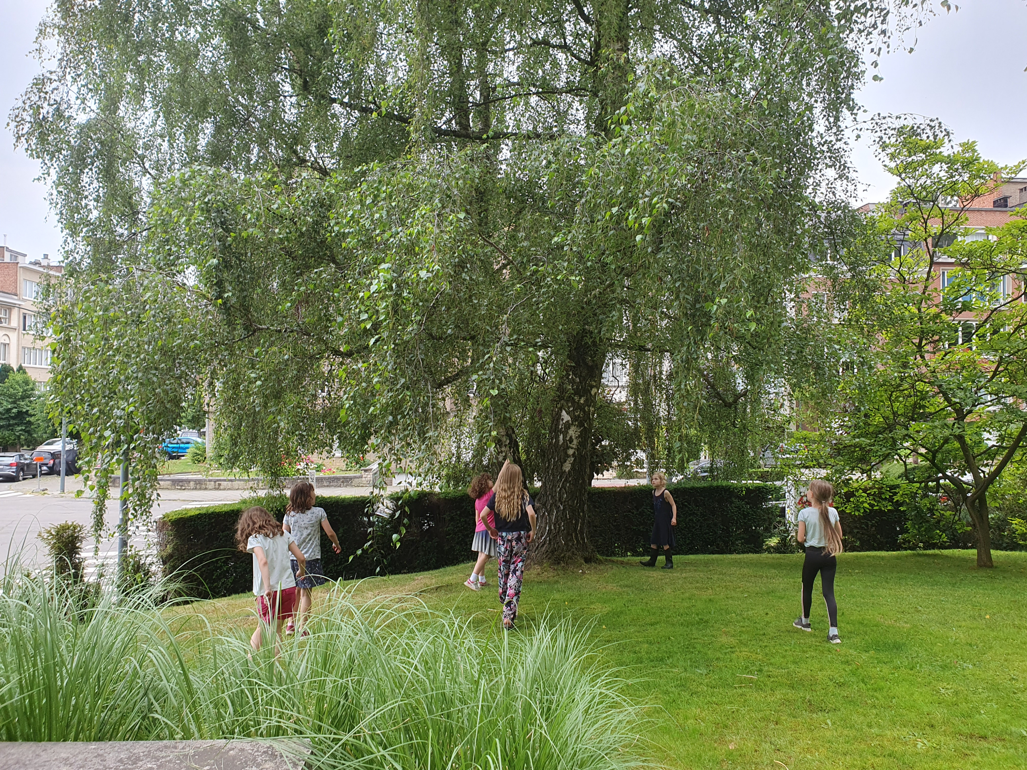 image-11