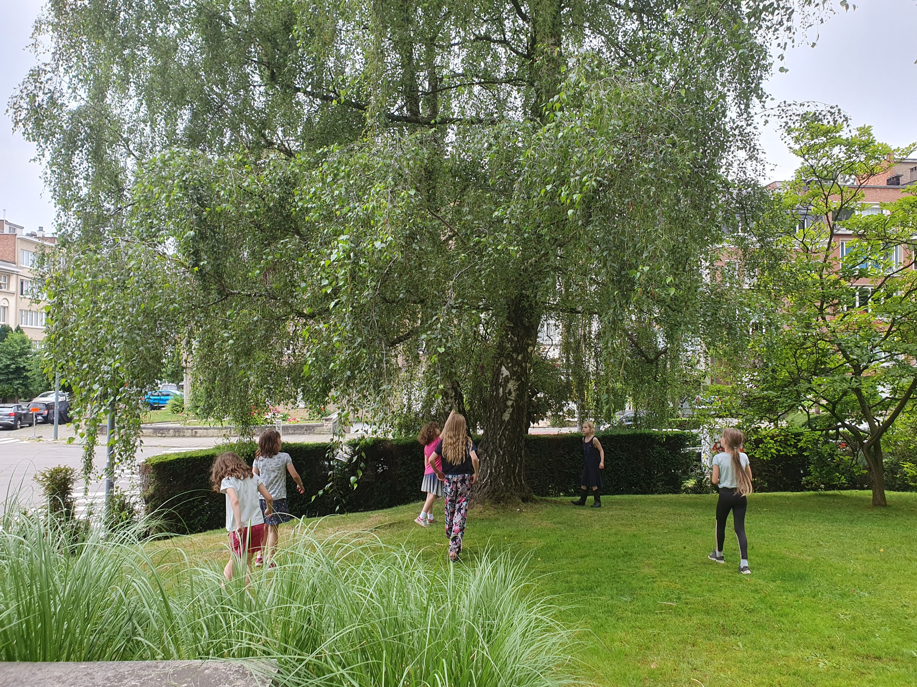 image-11