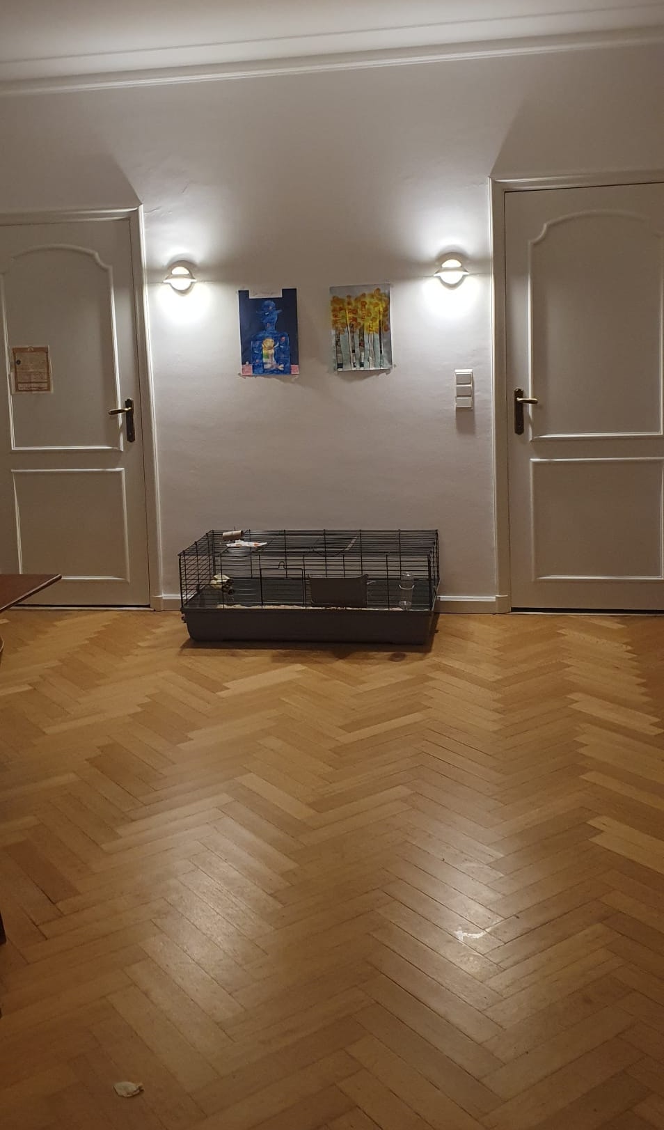 image-13