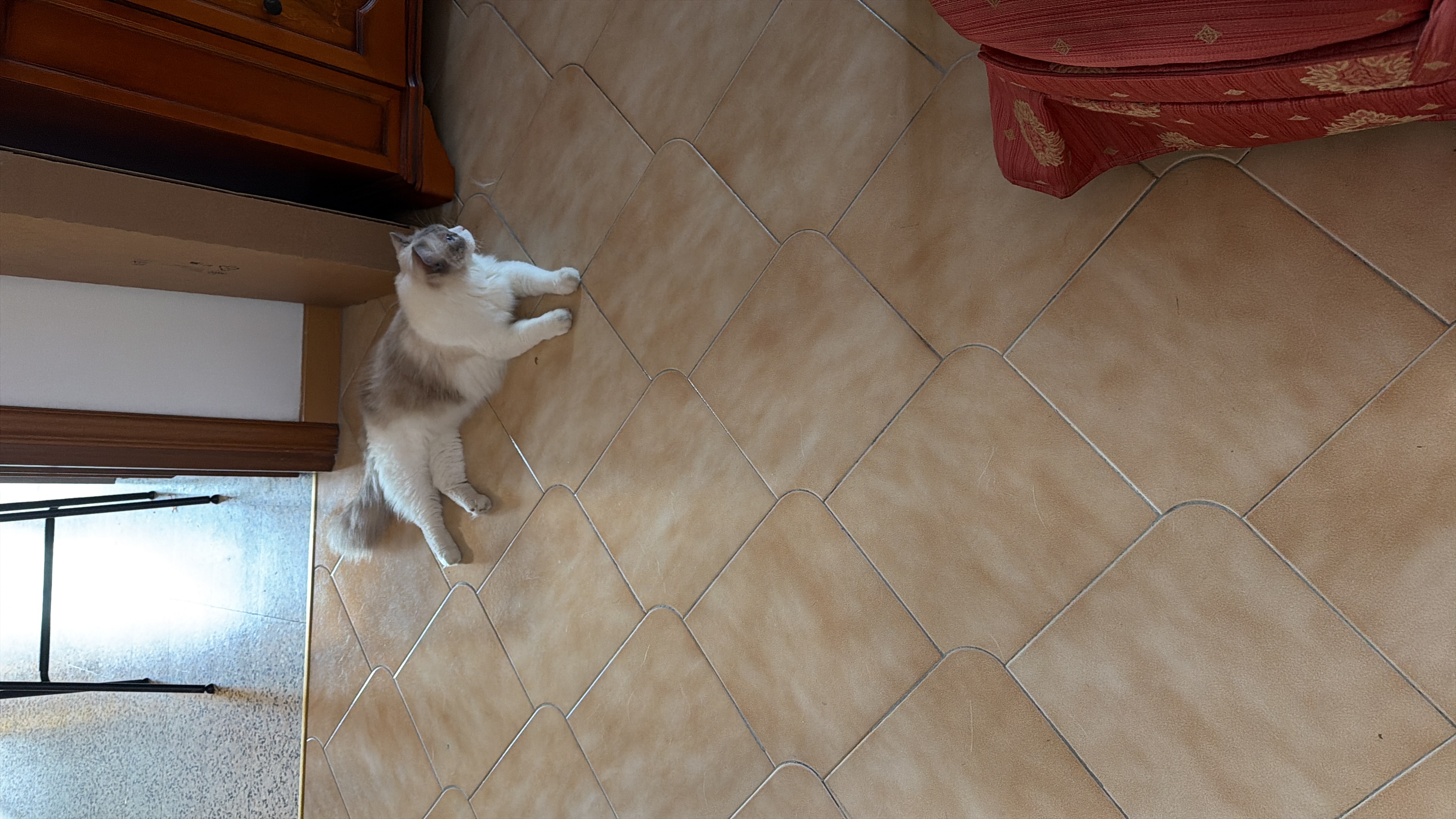 image-29