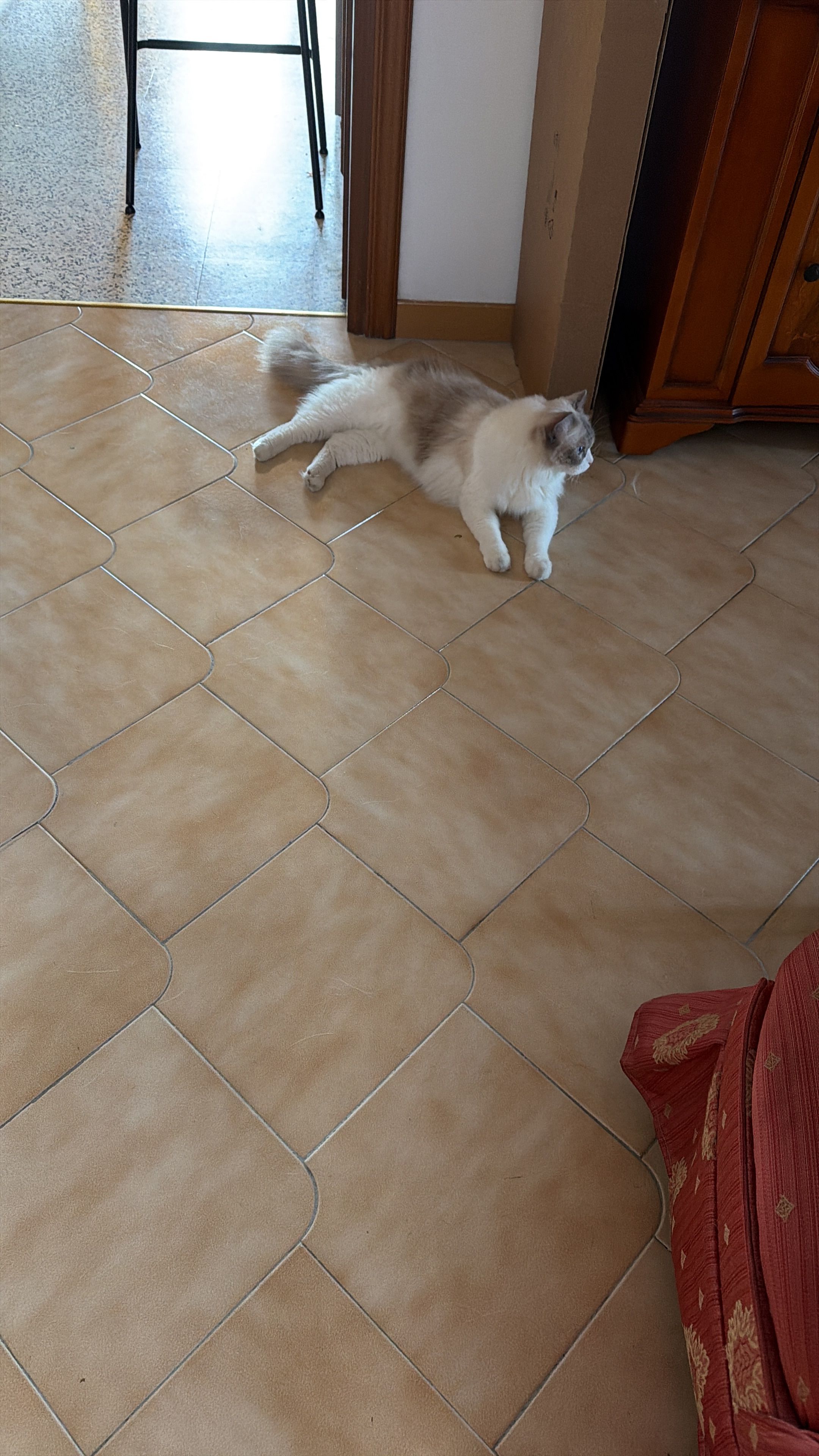 image-29