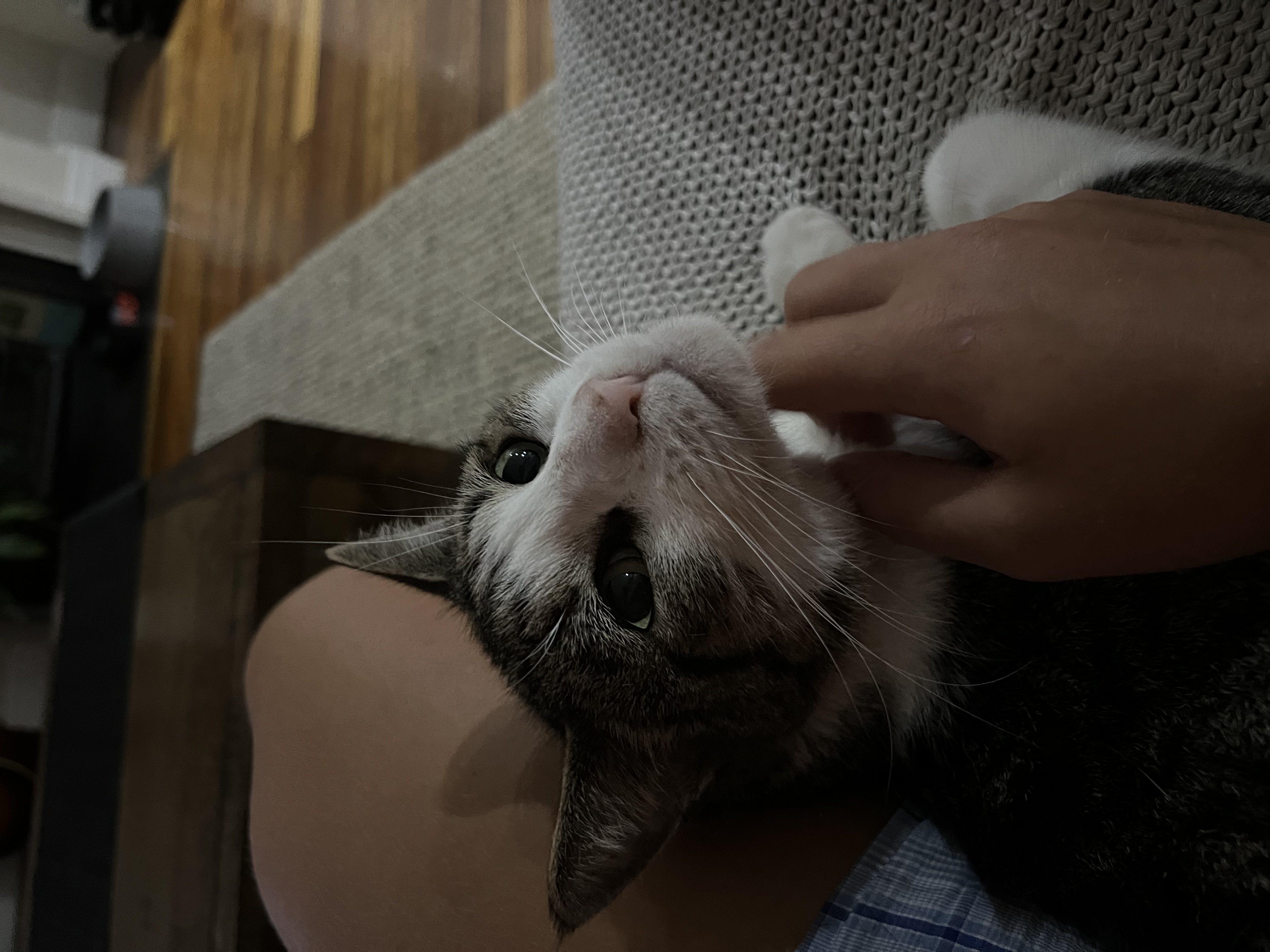 image-11