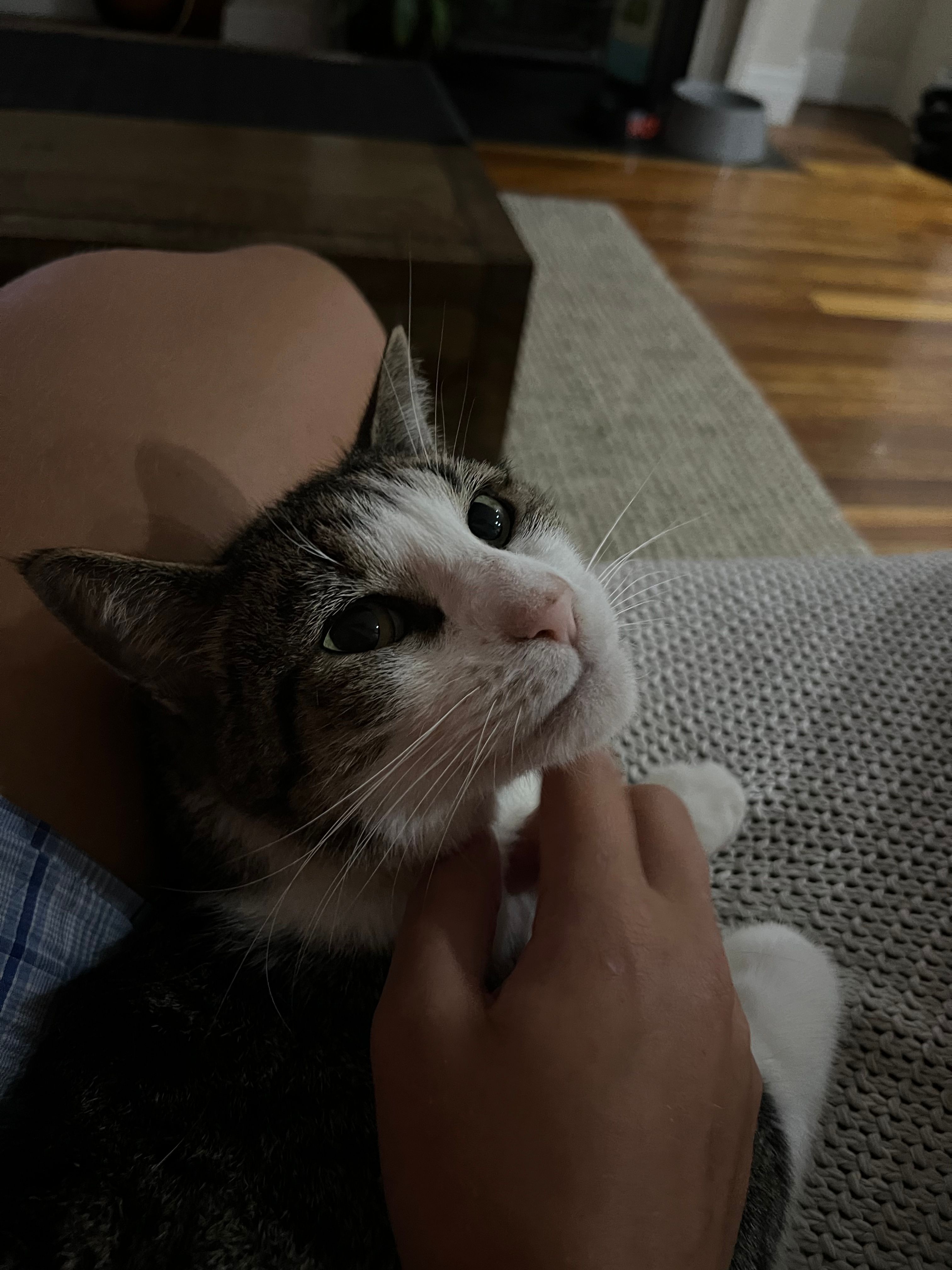 image-11