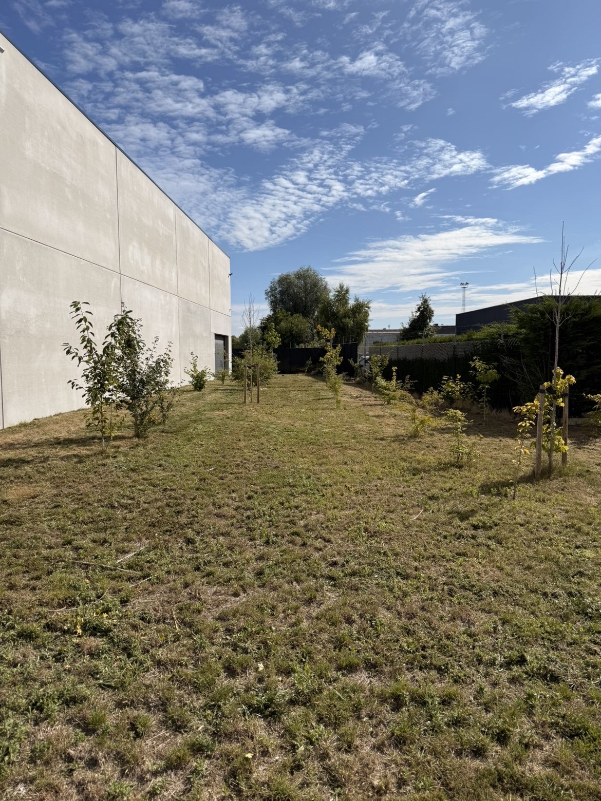 image-14