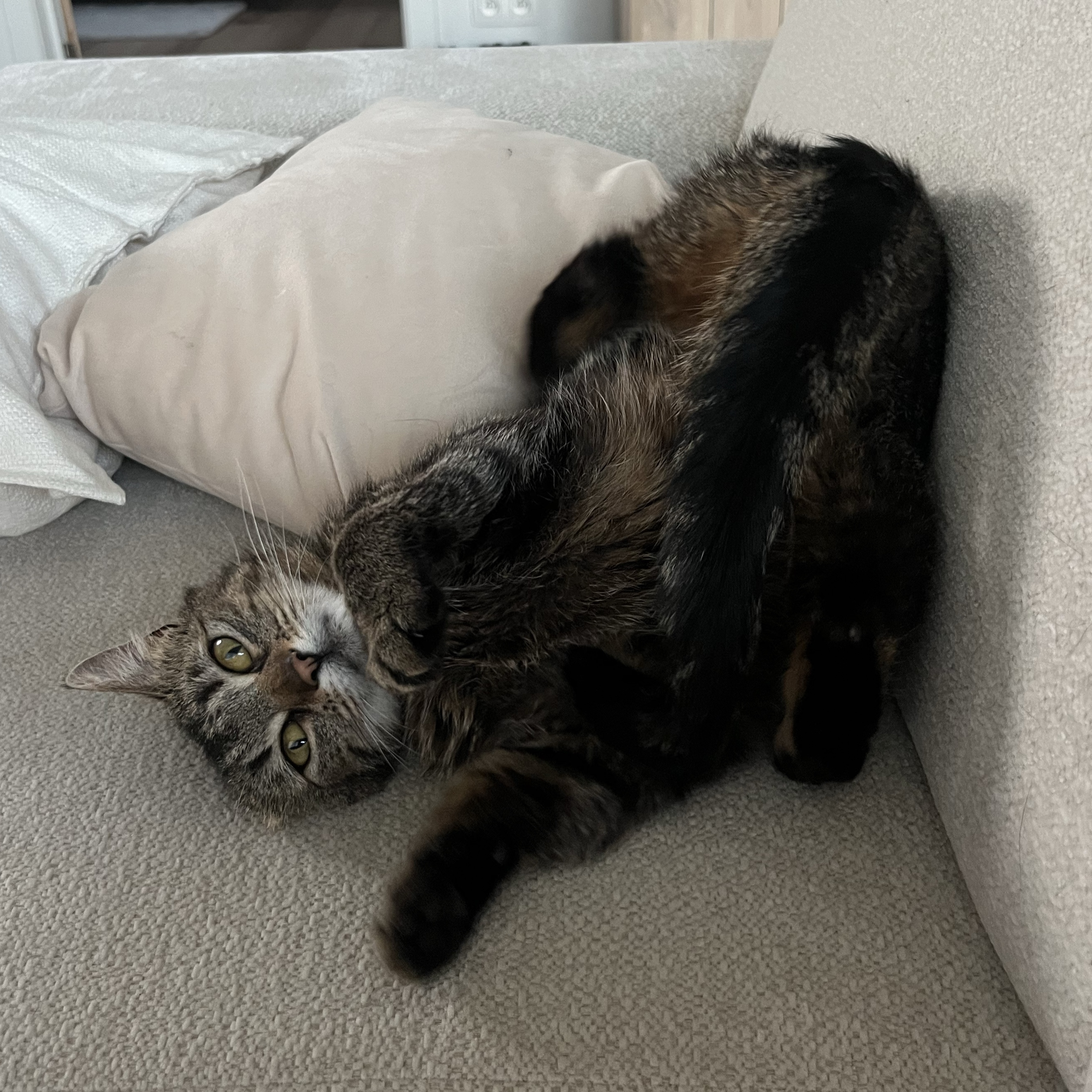 Nina