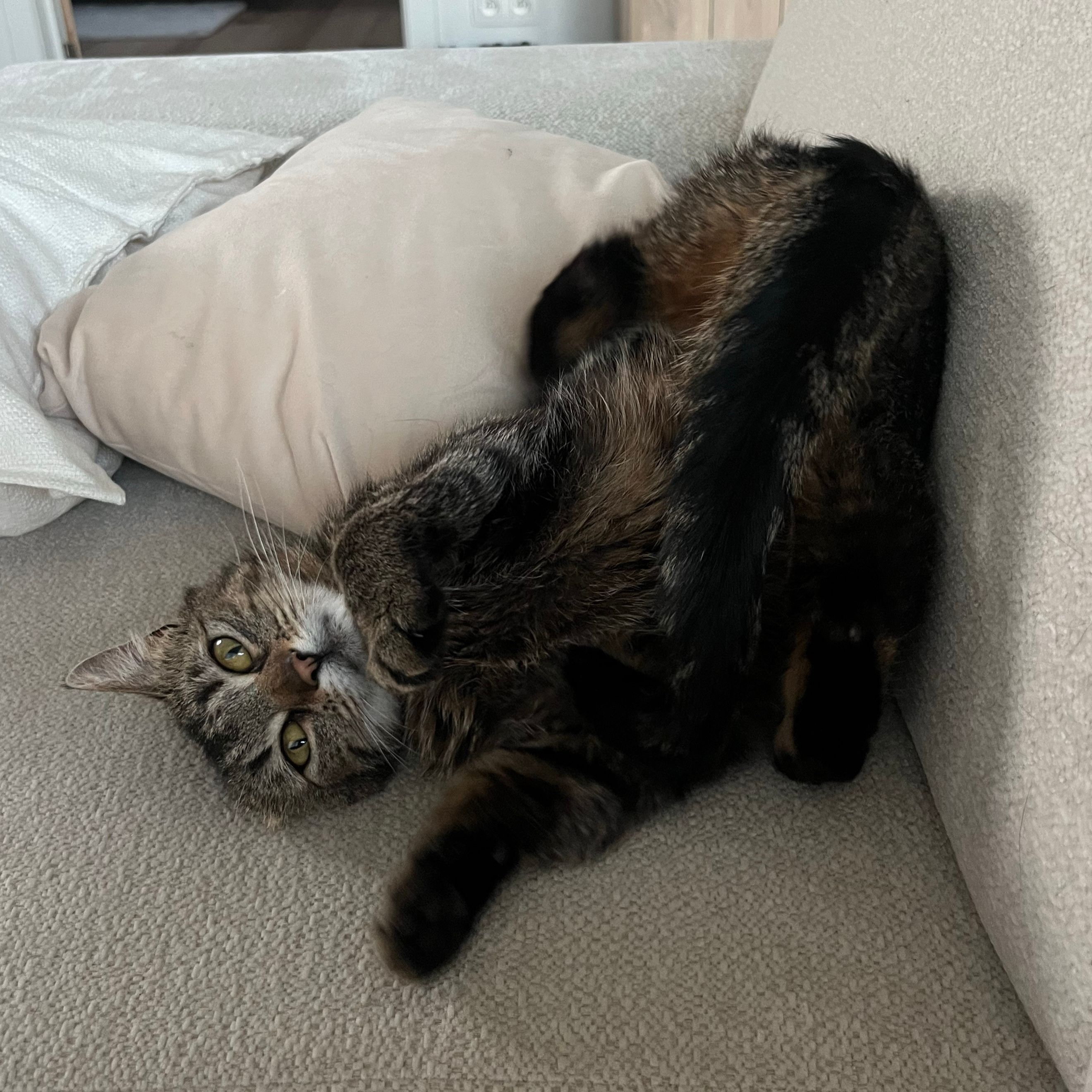 Nina