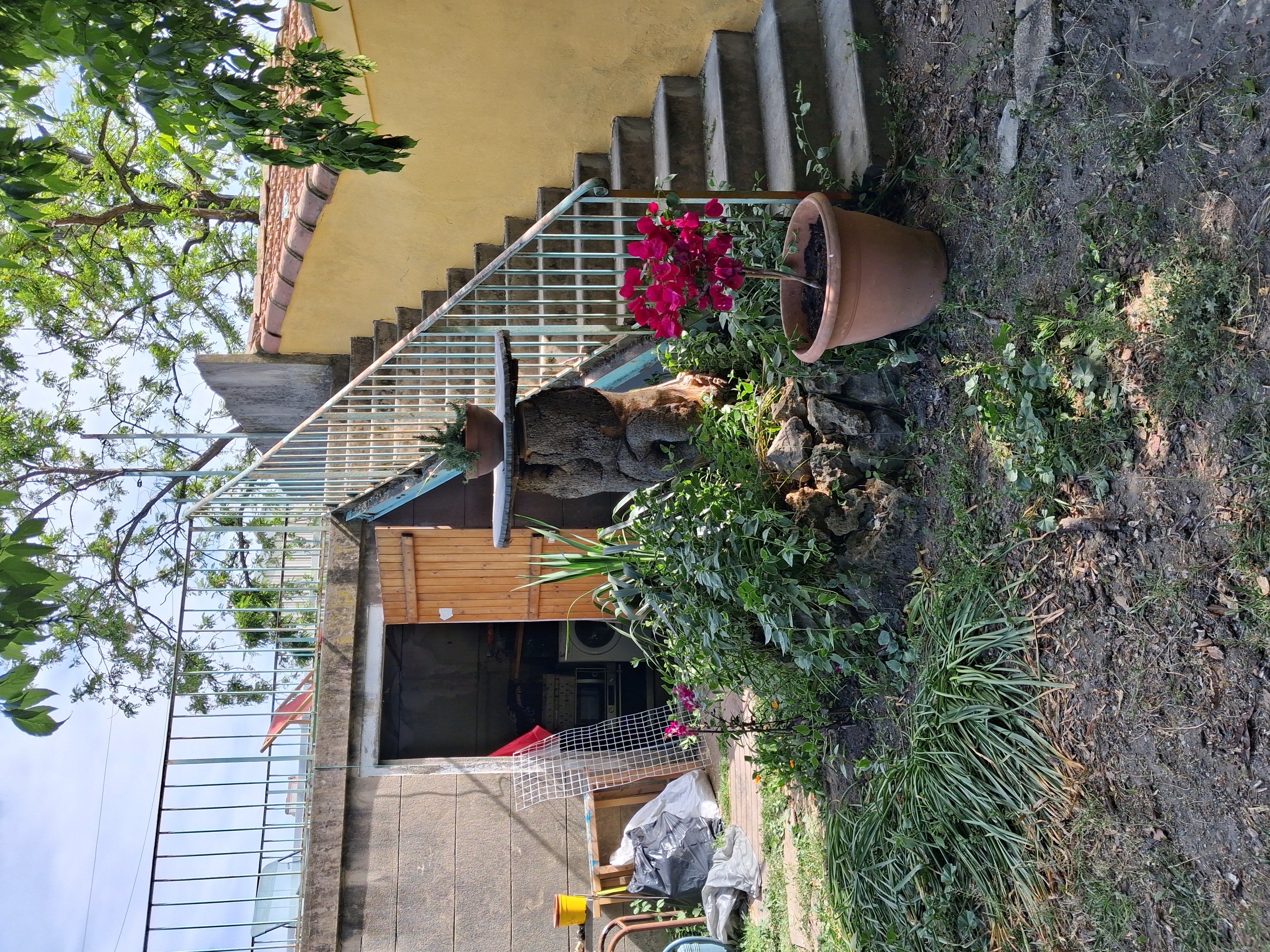 image-17