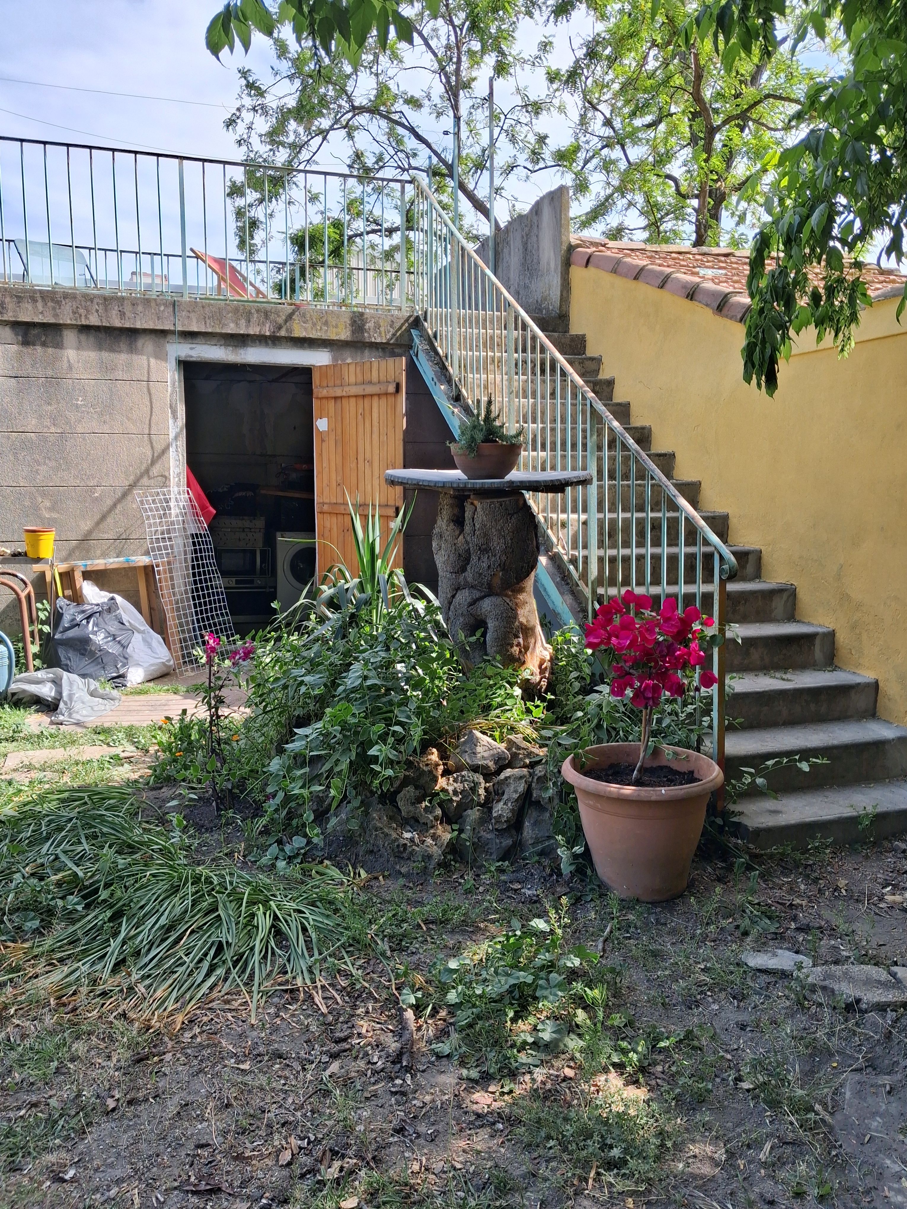 image-17