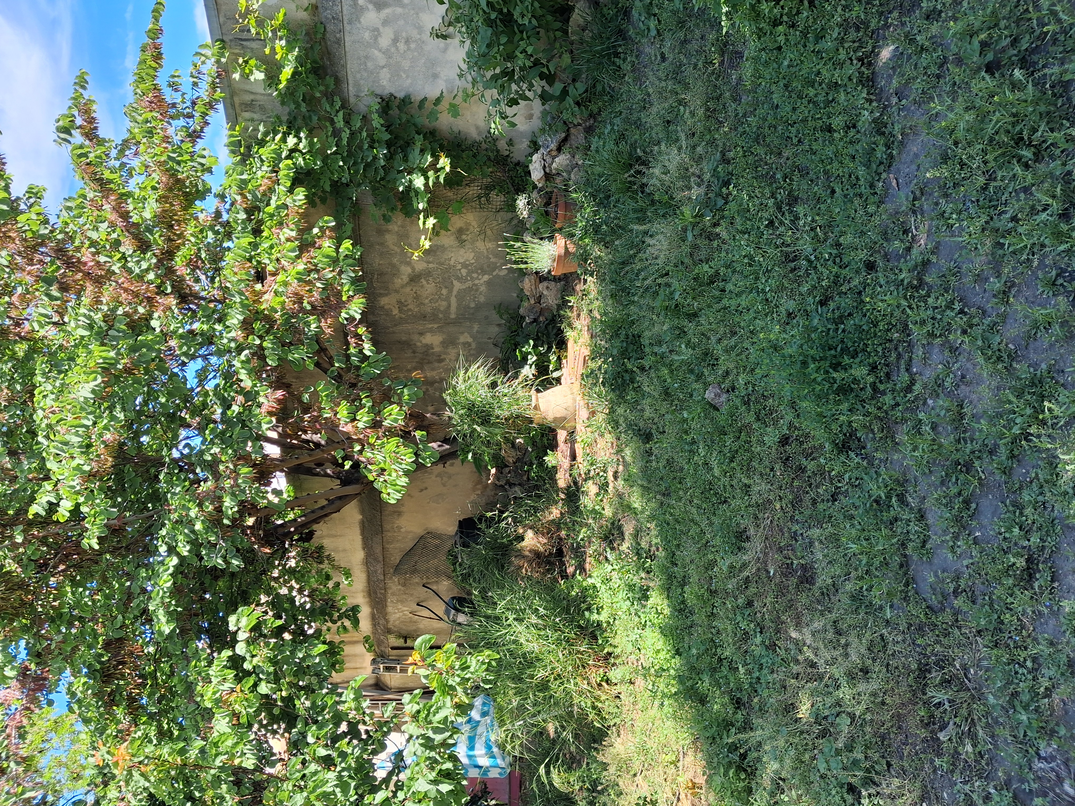 image-16