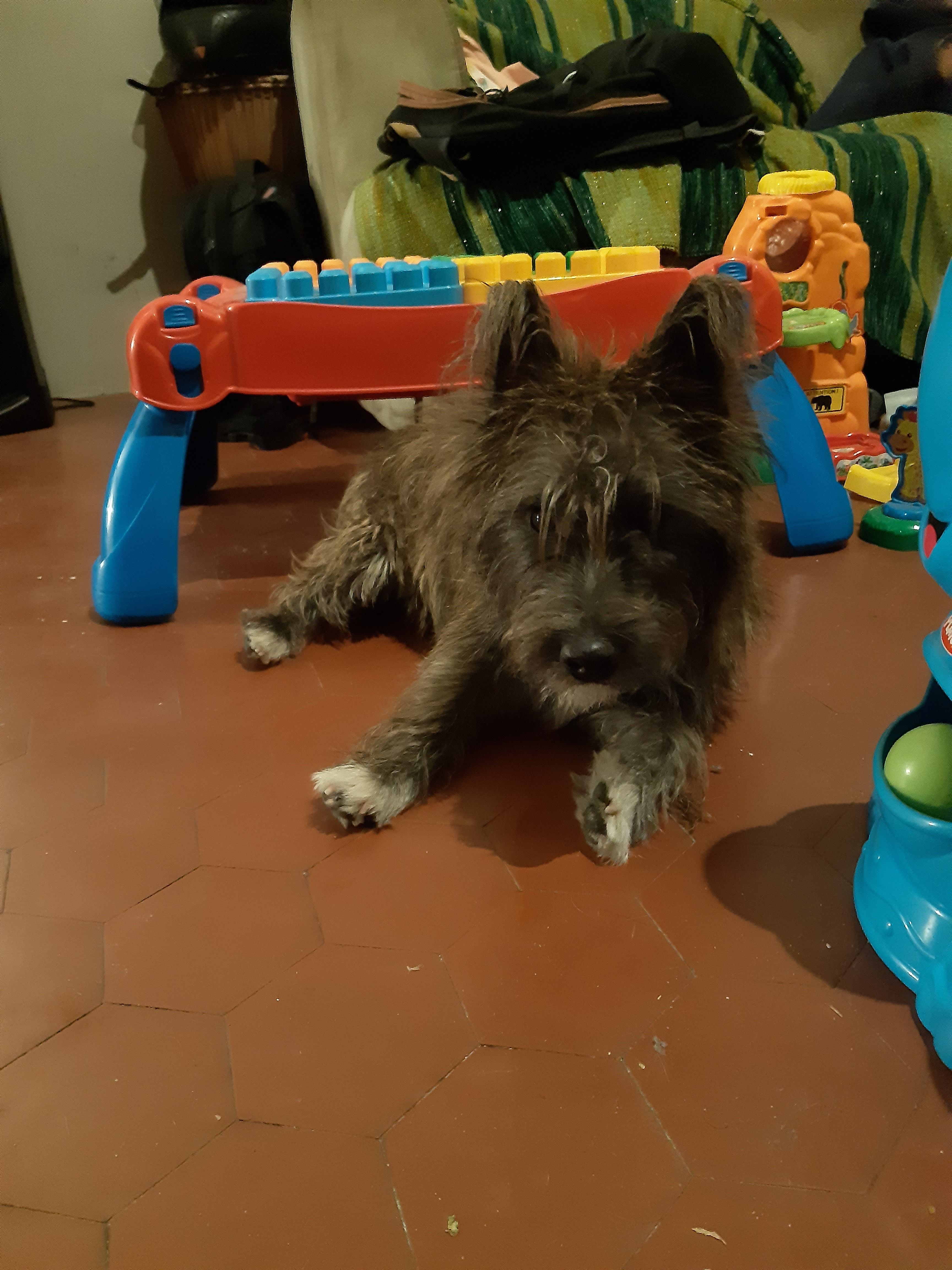 image-10