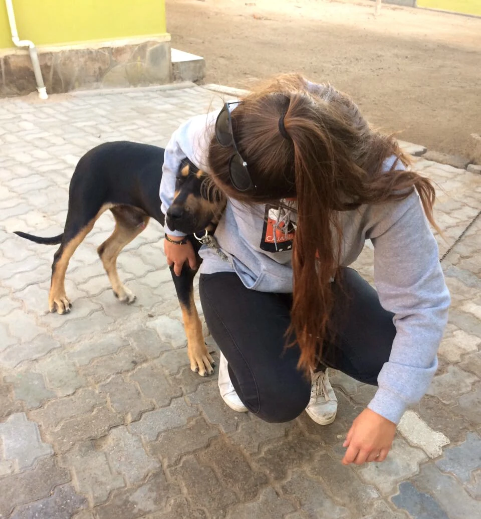 image-6