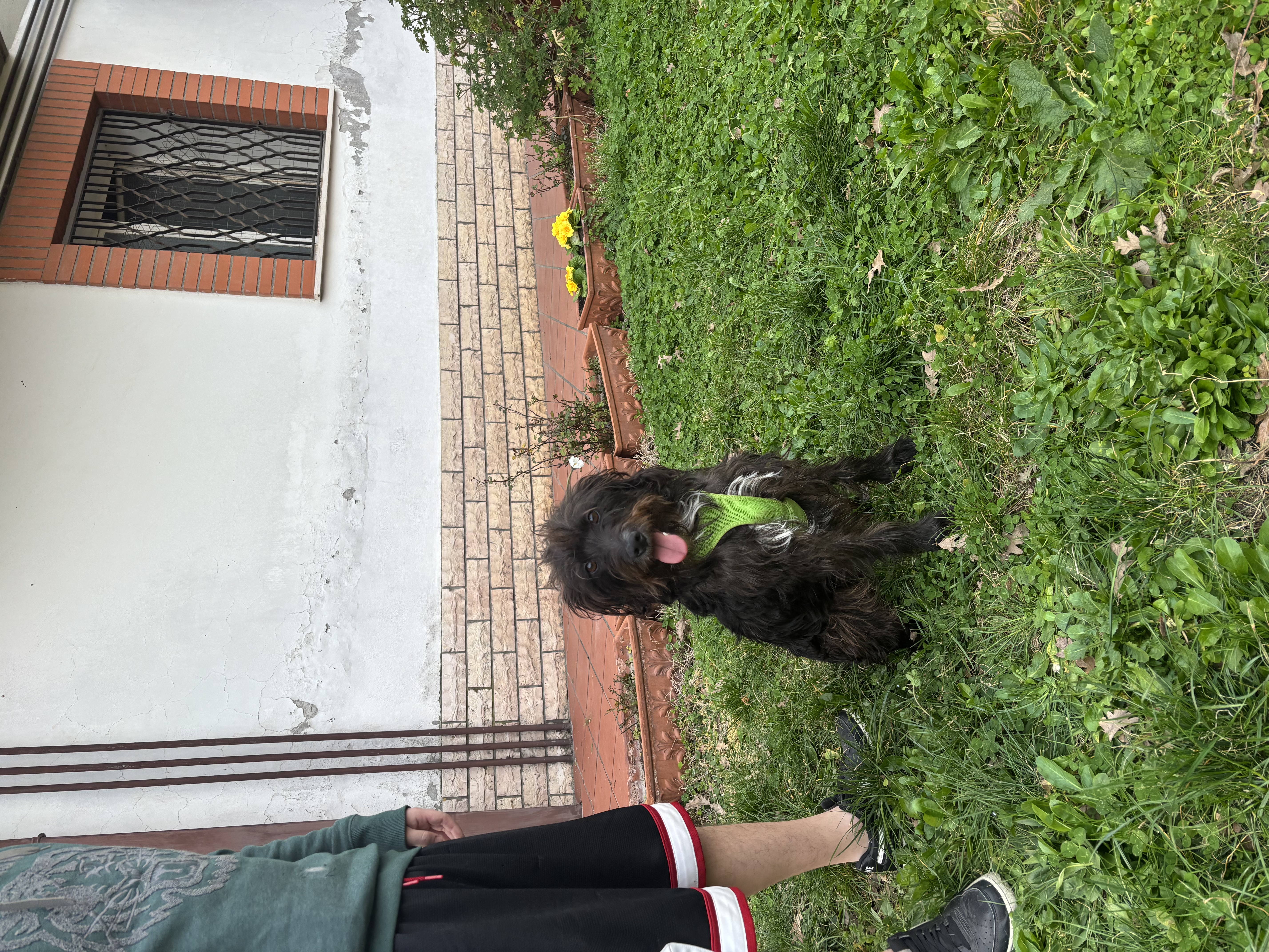 image-9