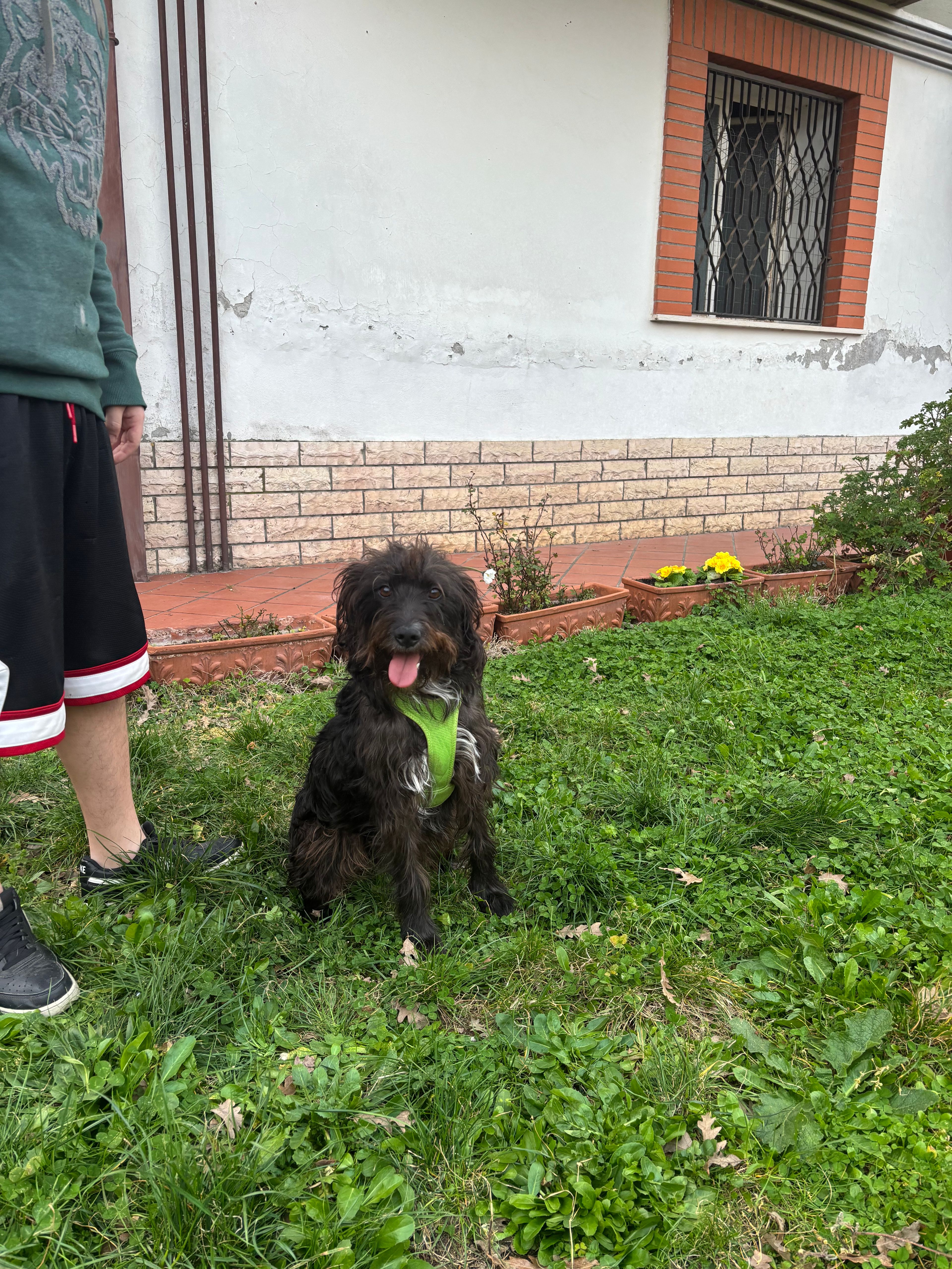 image-9