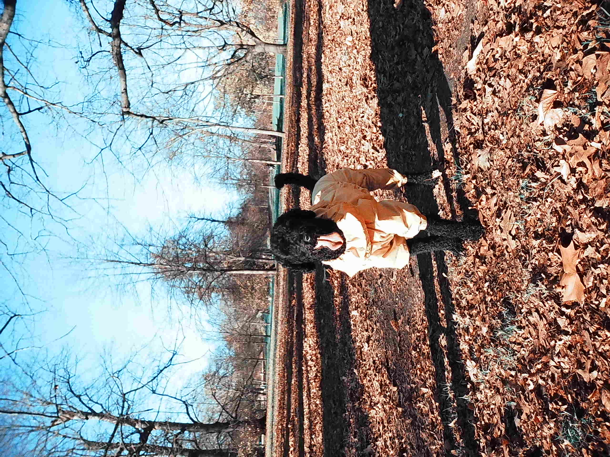 image-7
