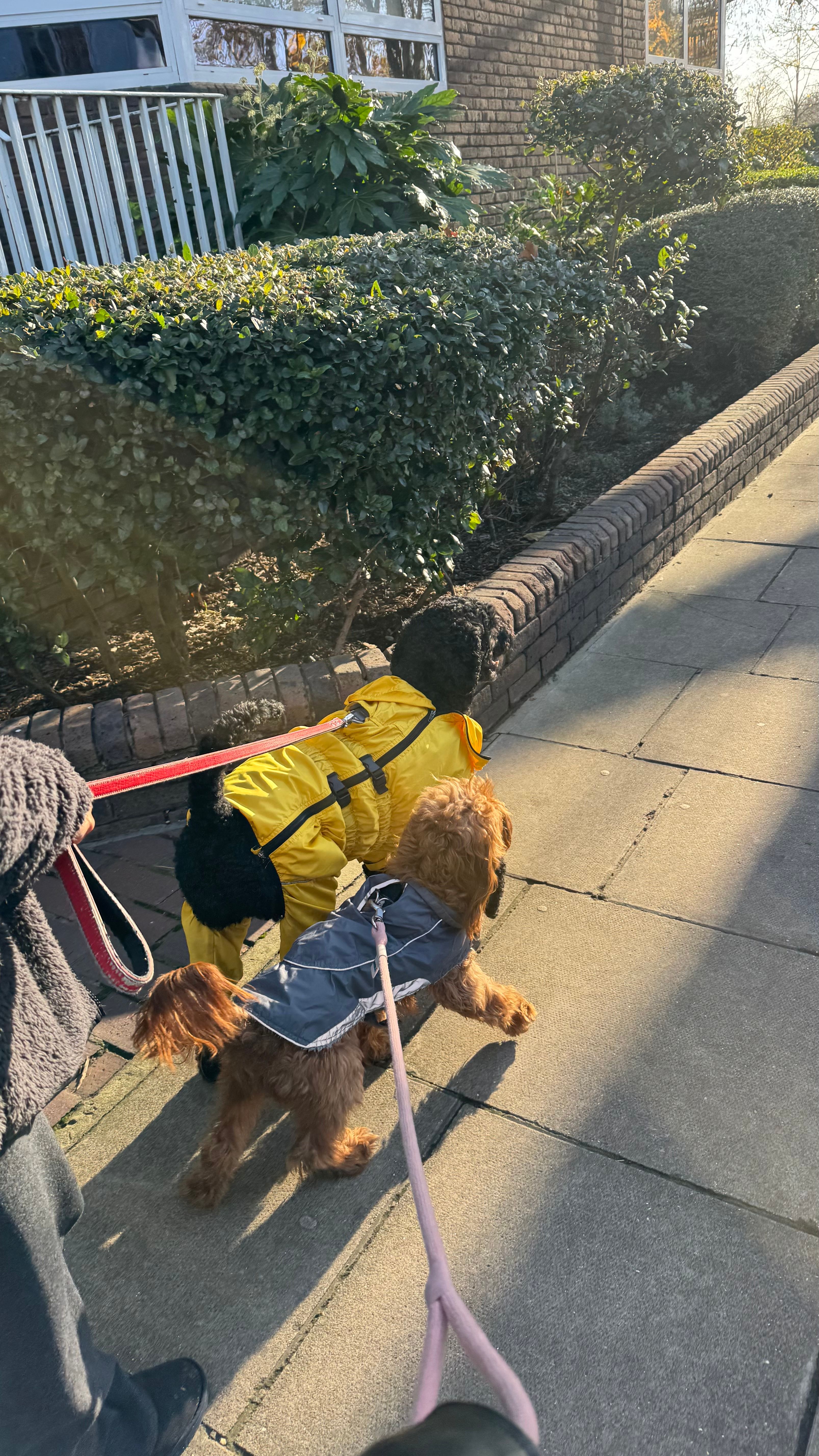image-8