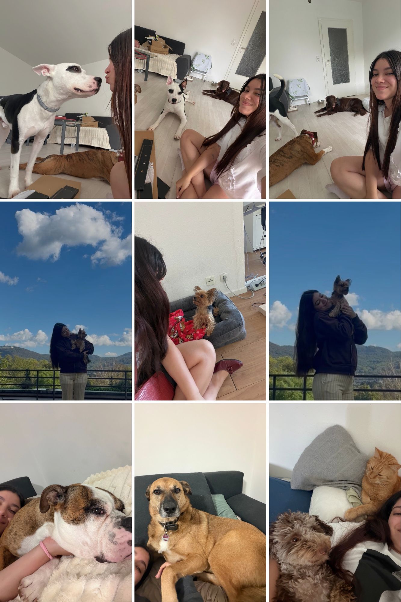image-7