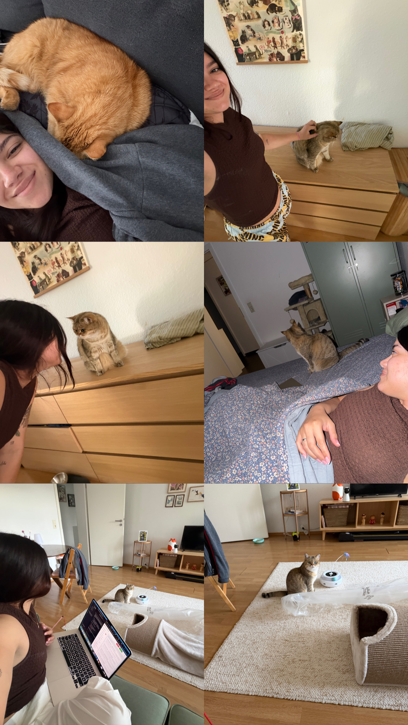 image-10