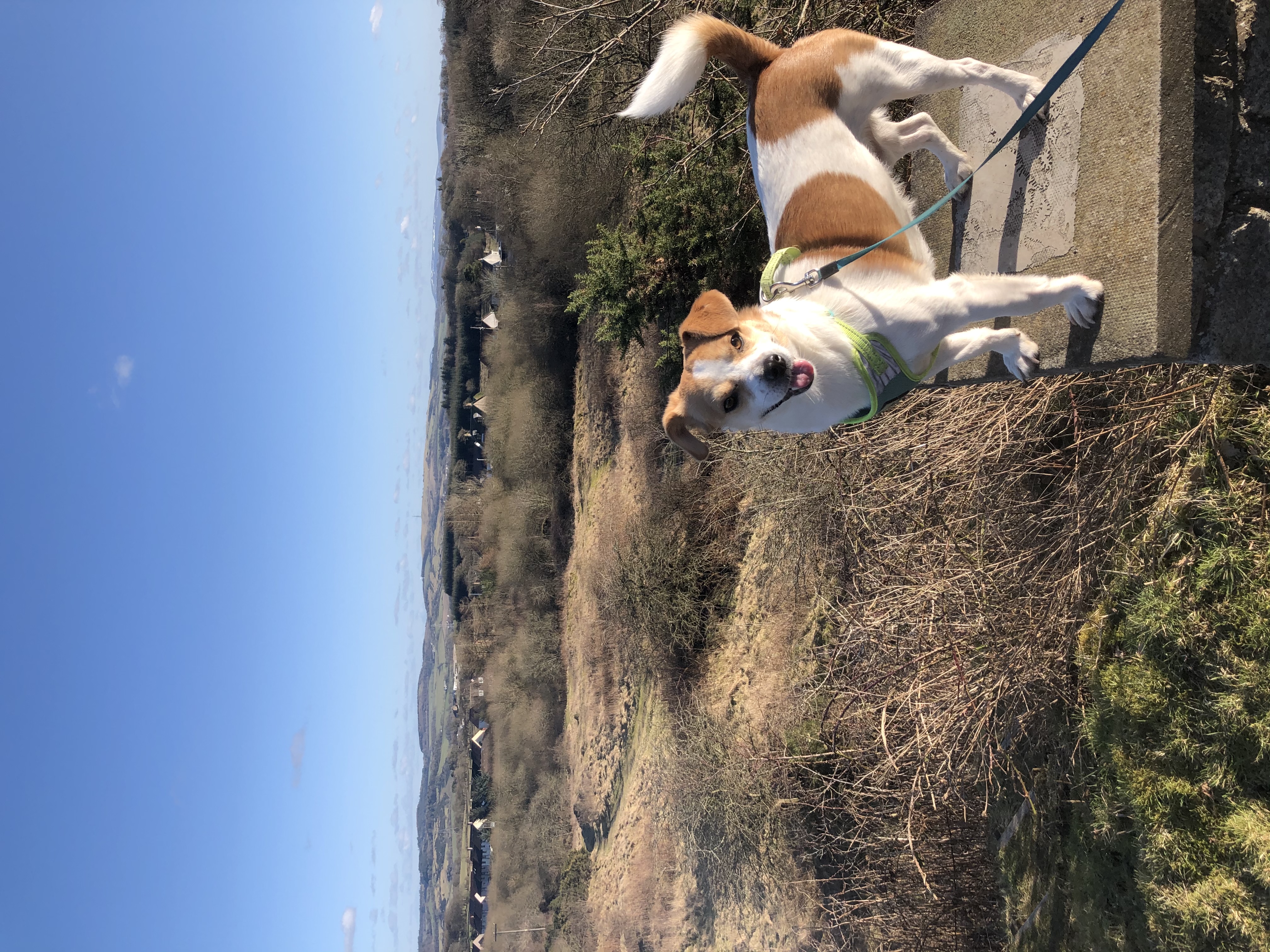image-8