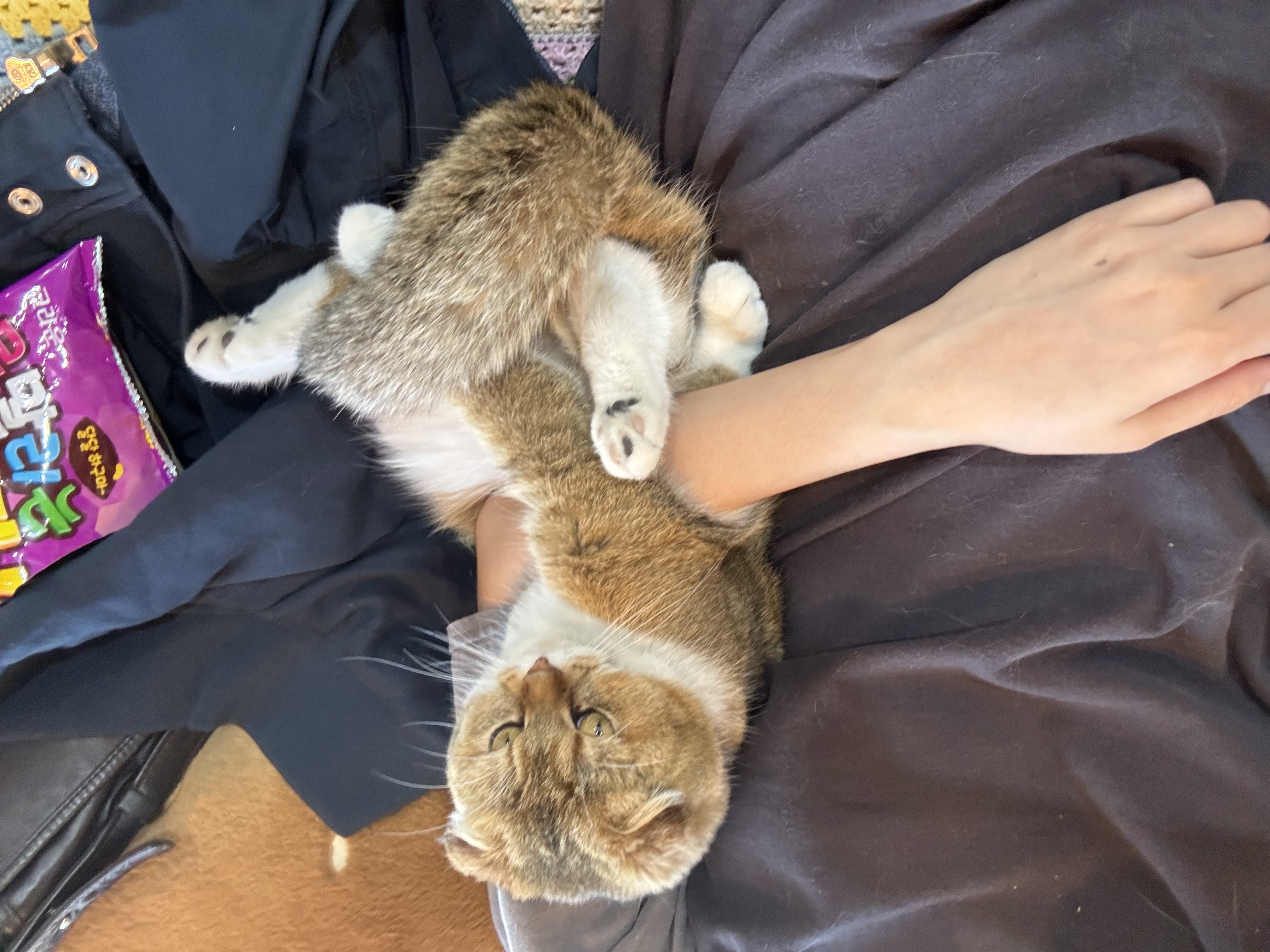 image-6