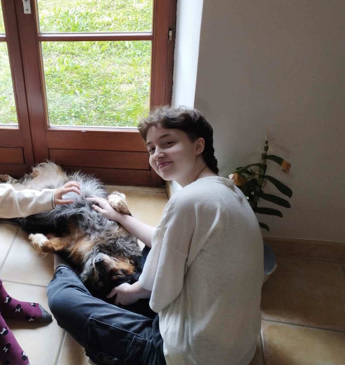 image-4