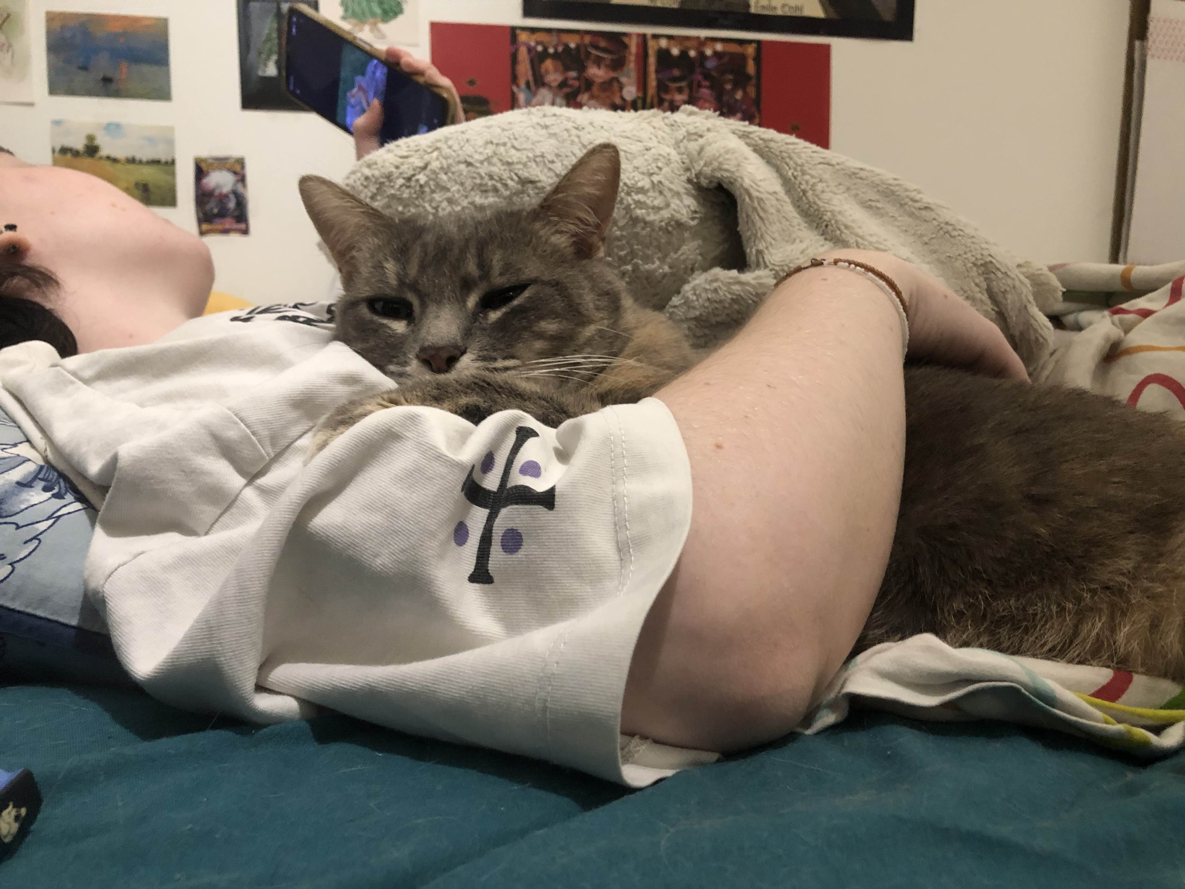 image-8