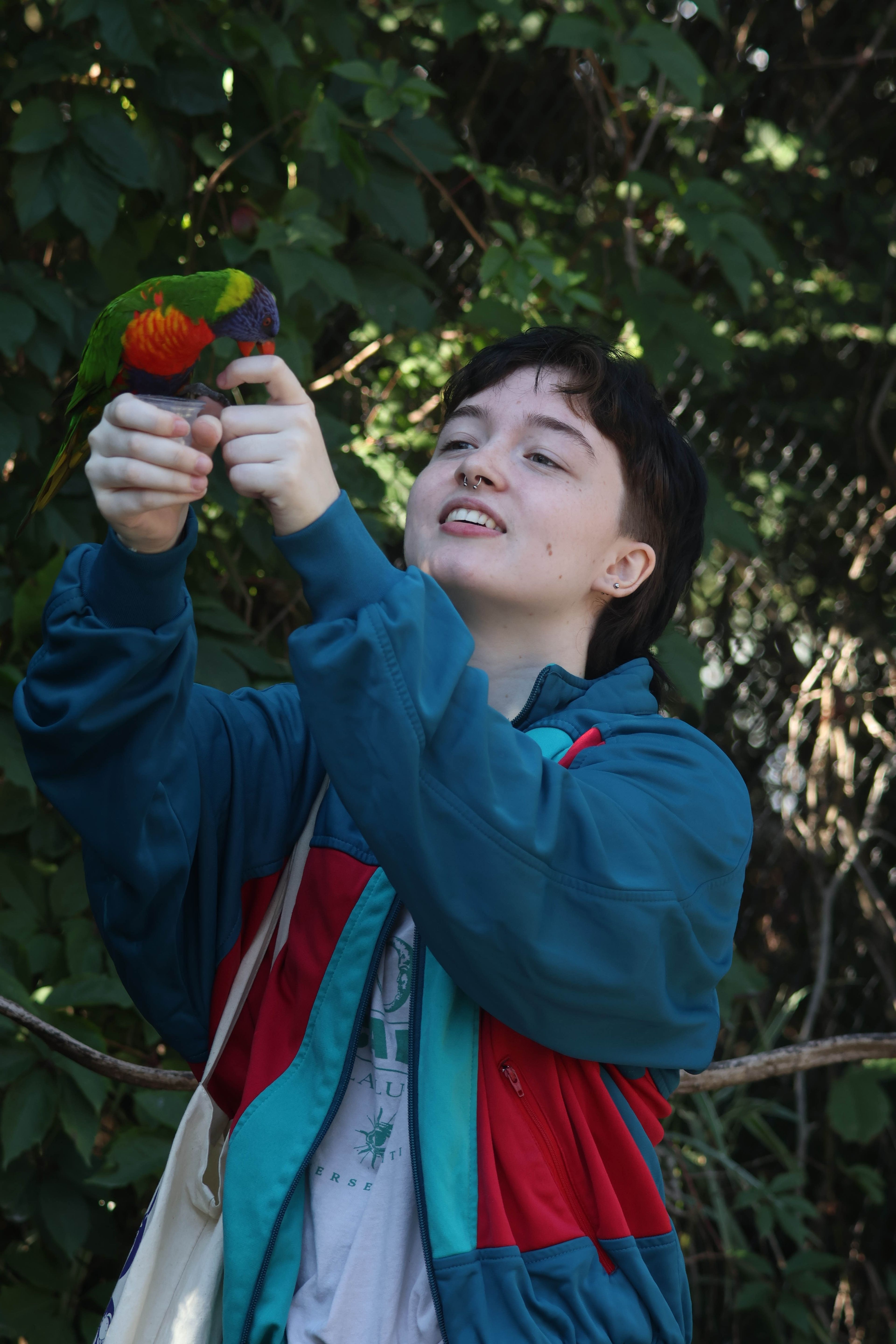 image-5