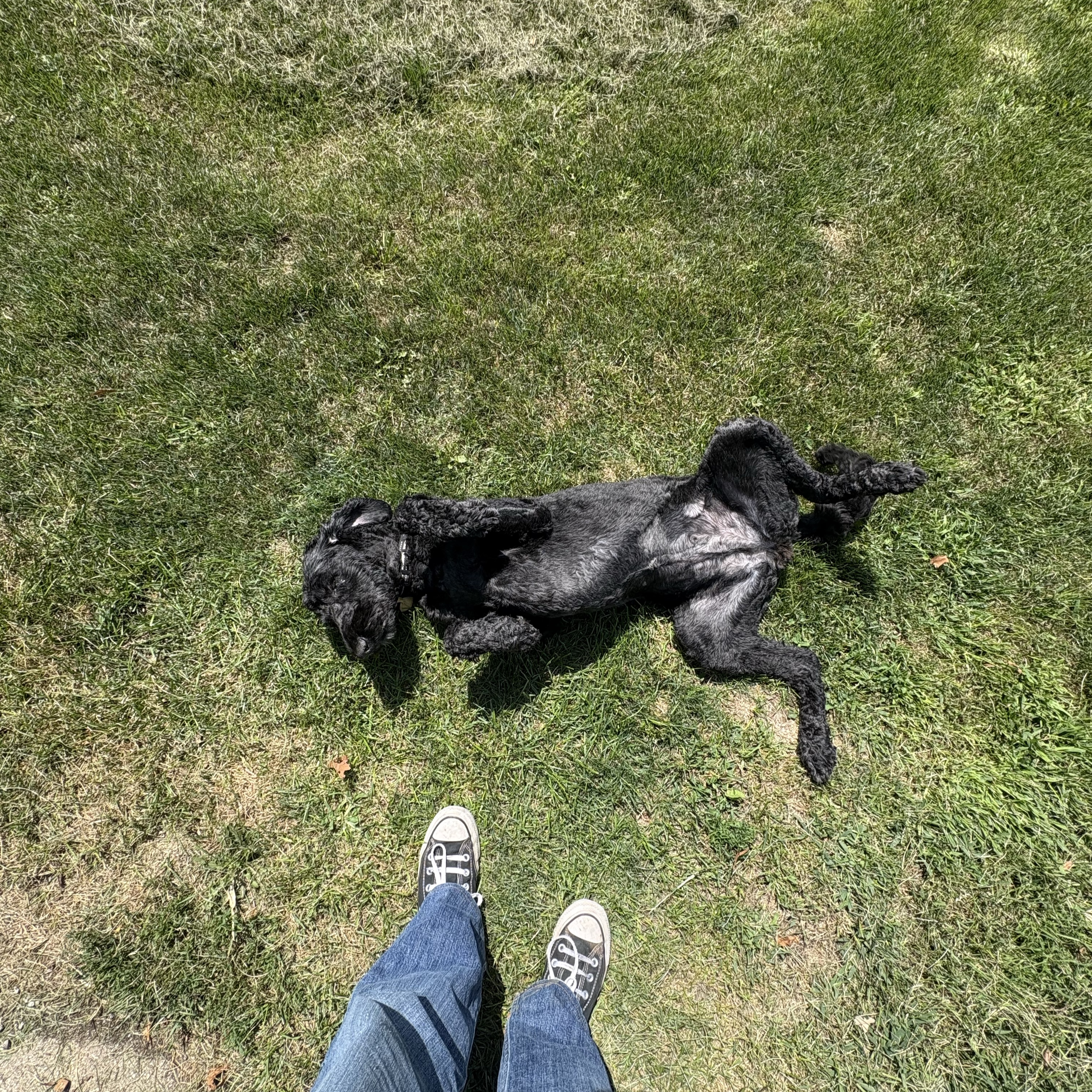 Luna
