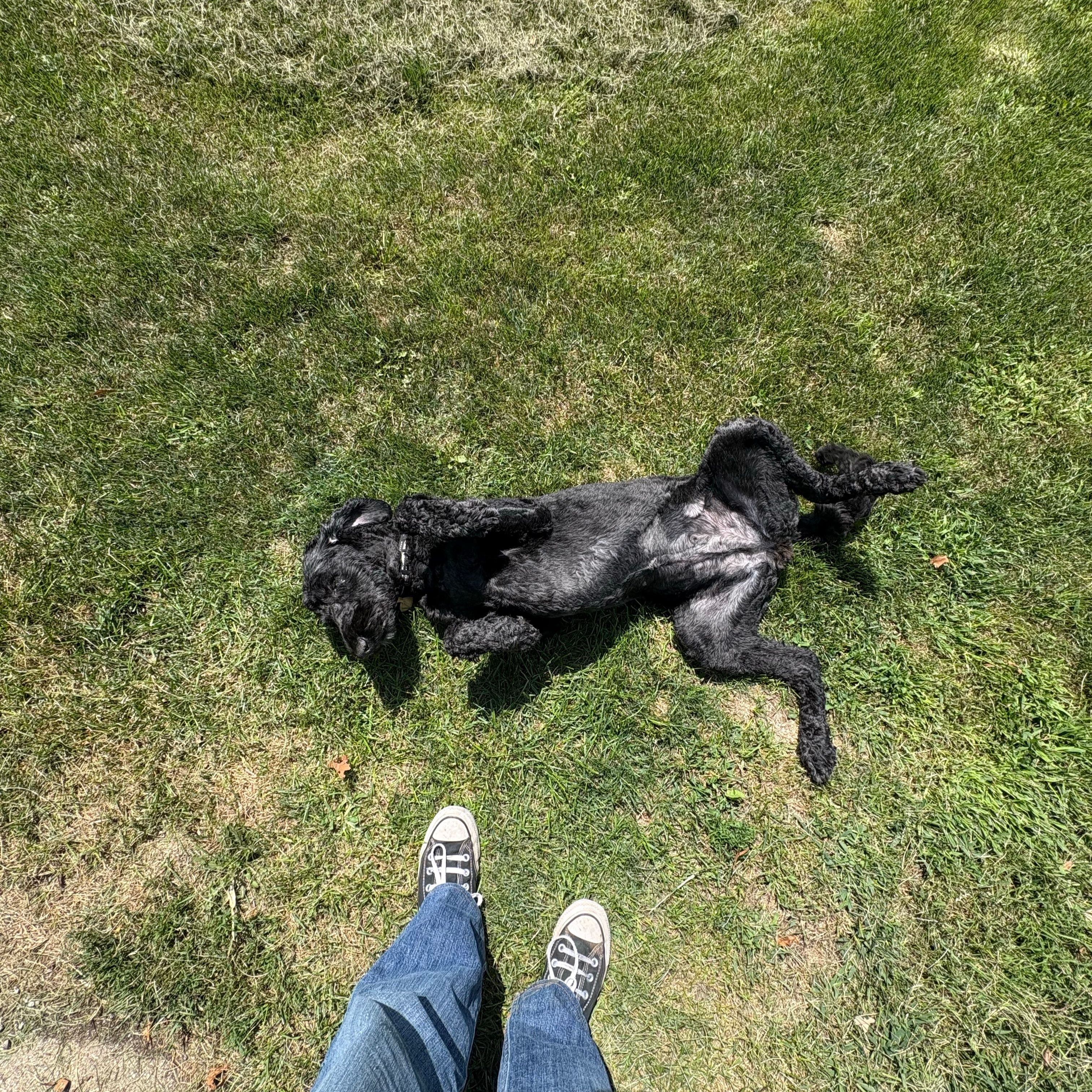Luna