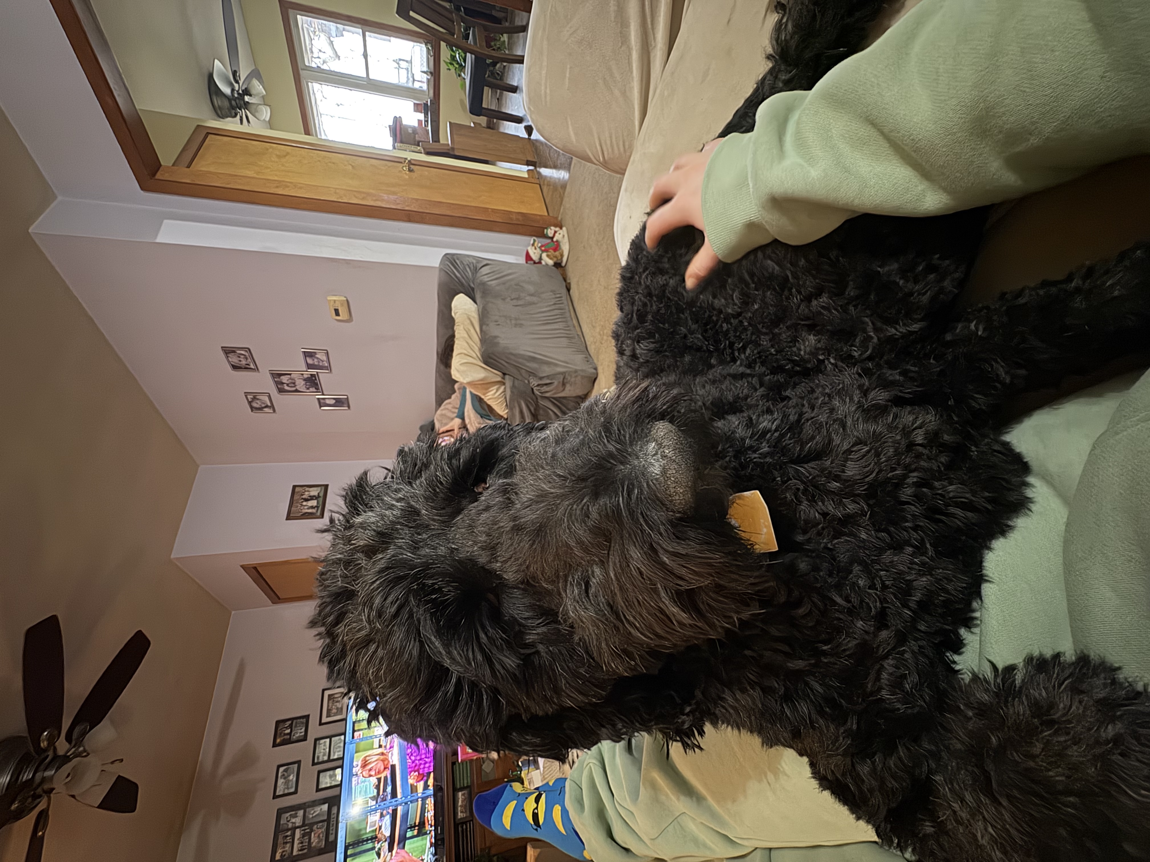 image-11