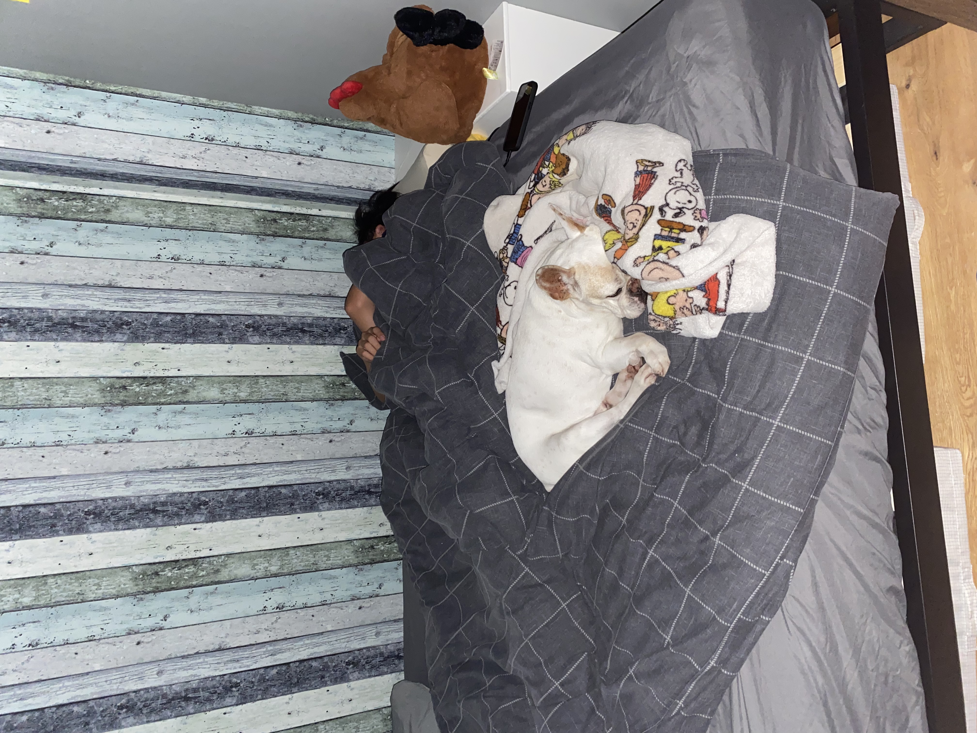 image-4