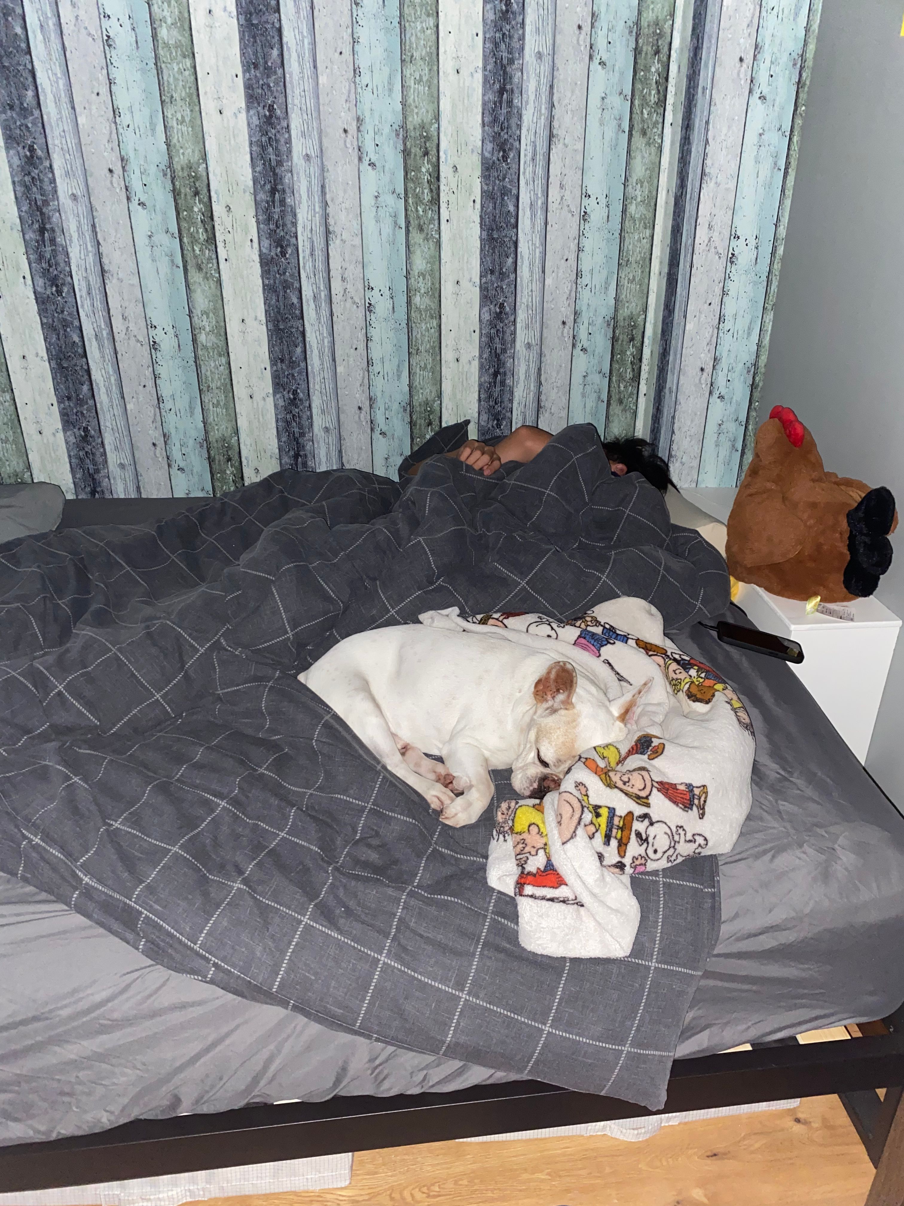 image-4
