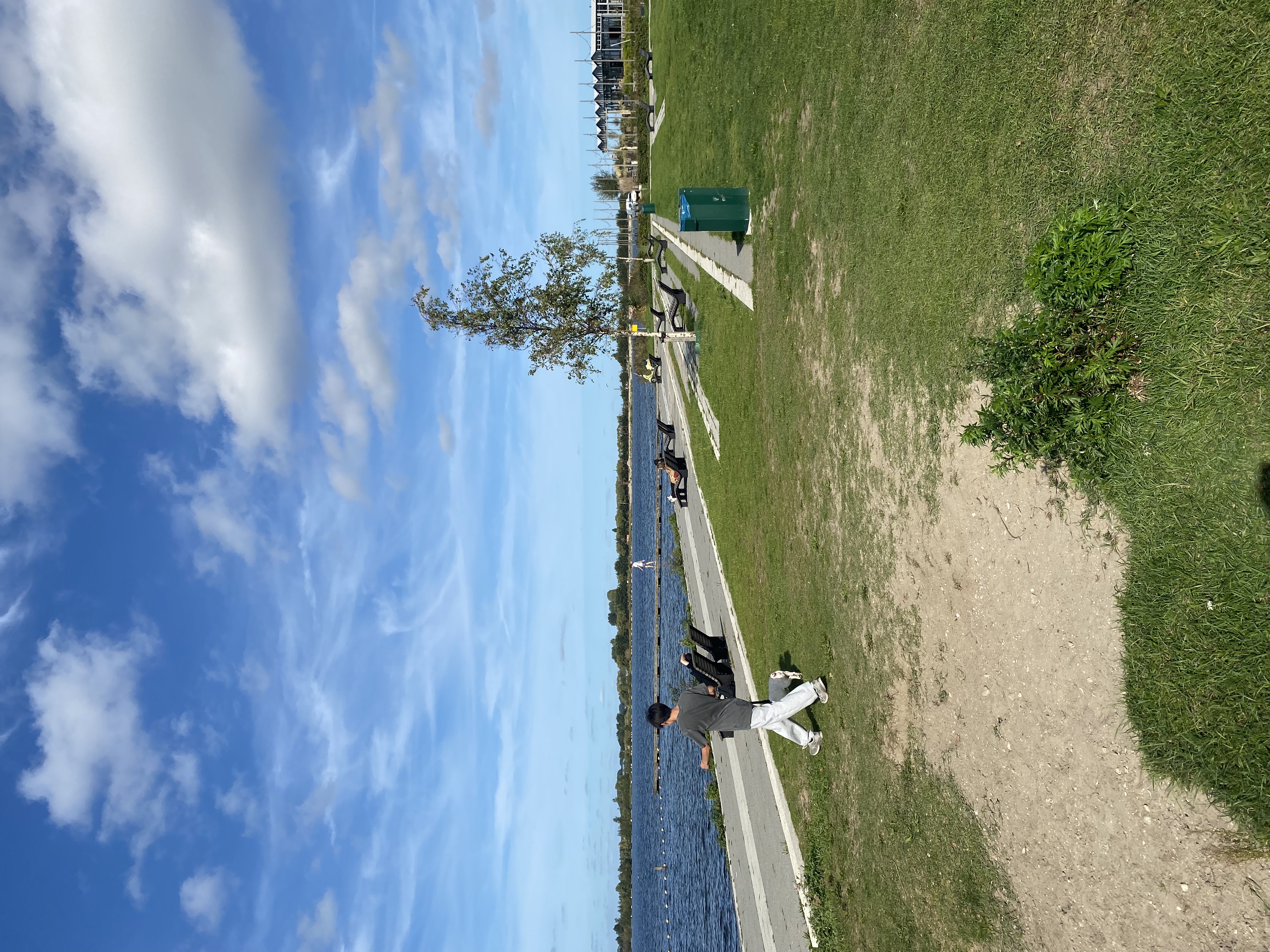 image-17
